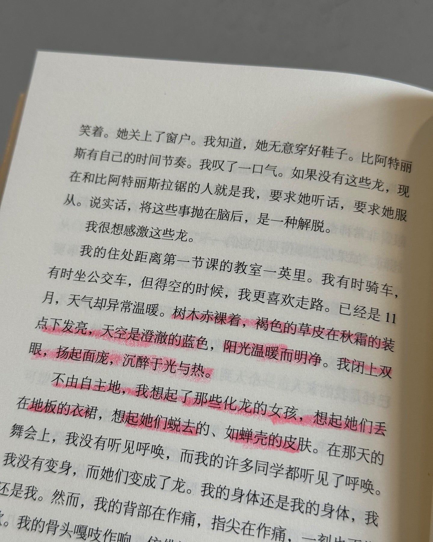 当她化身为龙