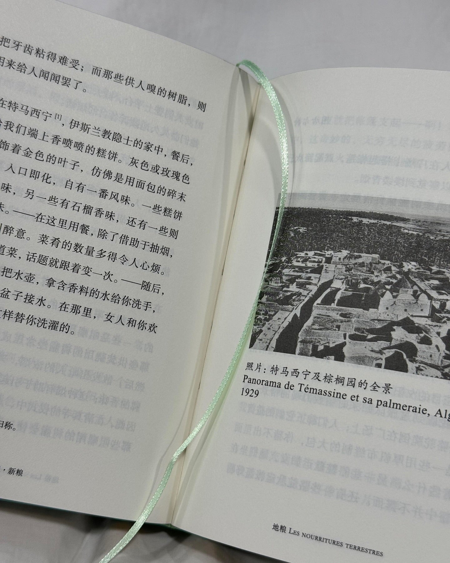 新粮地粮