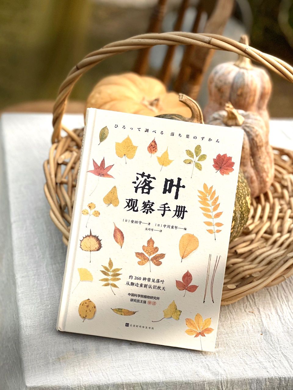 落叶观察手册