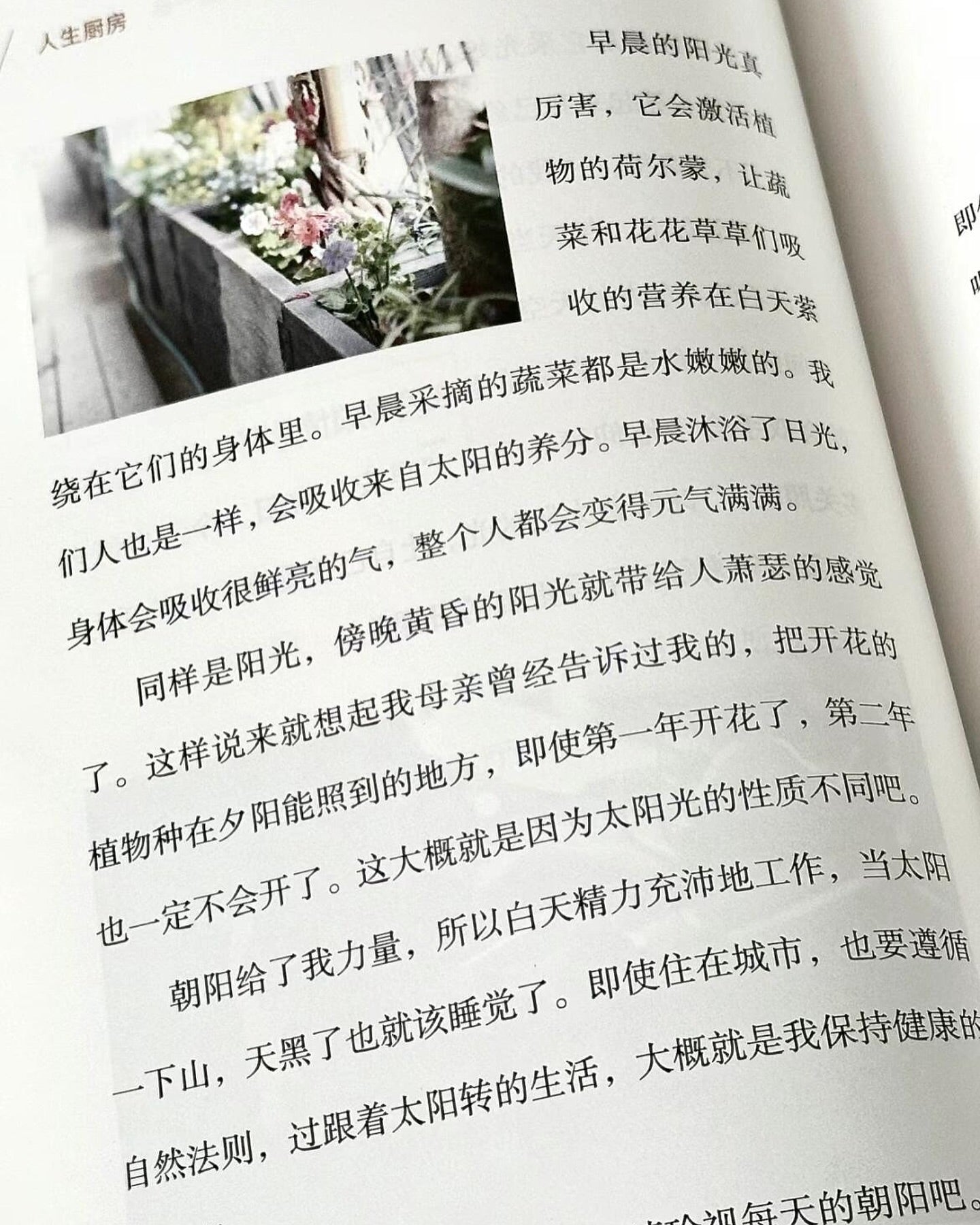 人生厨房