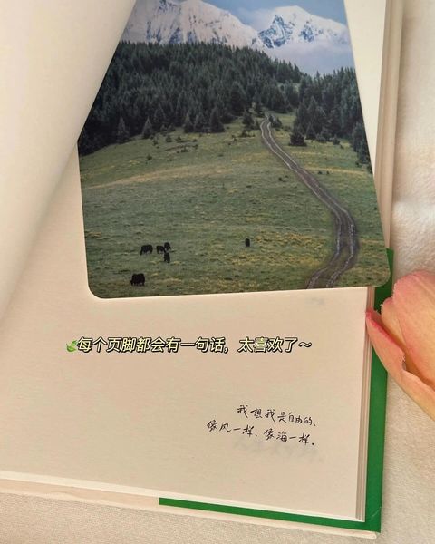 人生是旷野 哪里都是方向