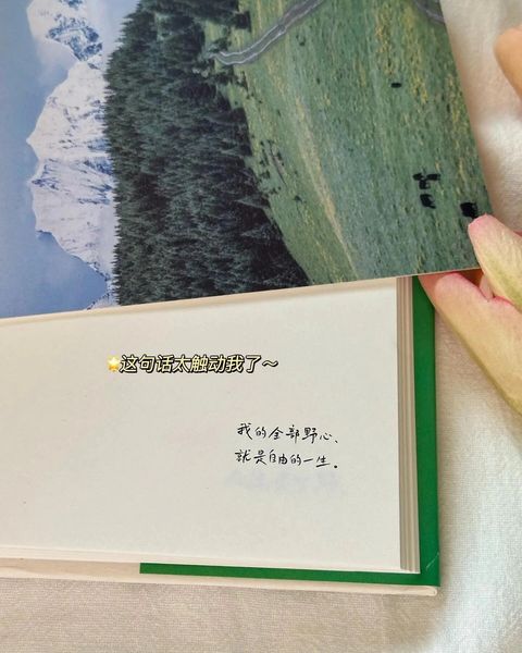人生是旷野 哪里都是方向