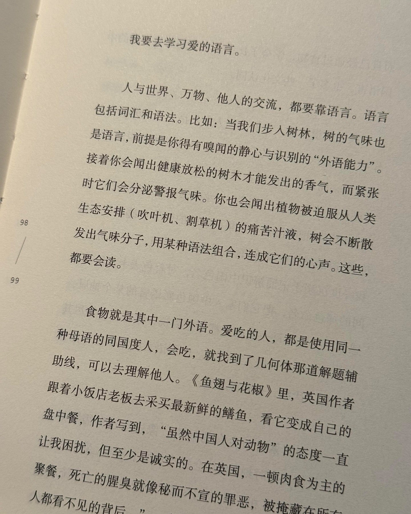 茫然尘世的珍宝