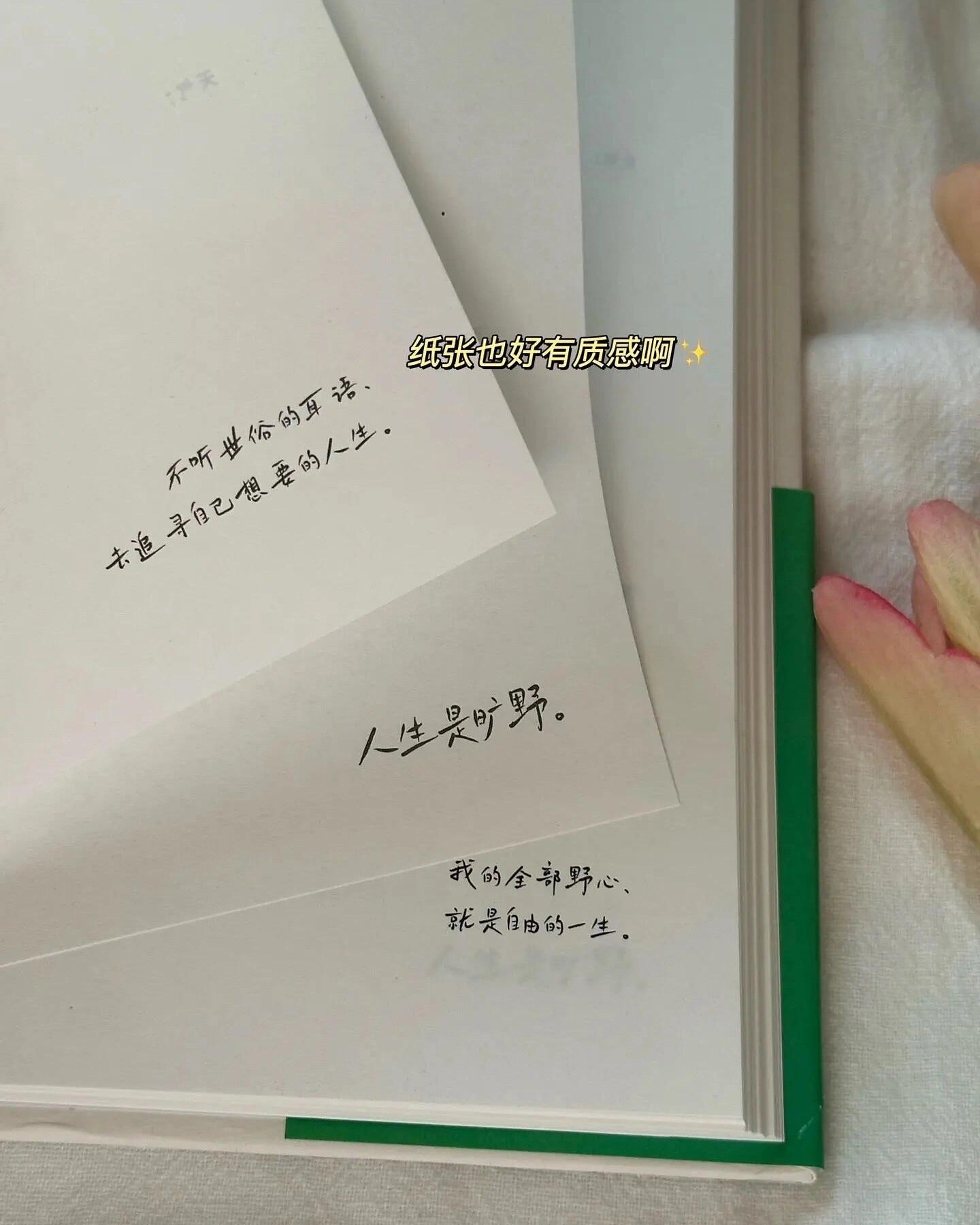 人生是旷野 哪里都是方向