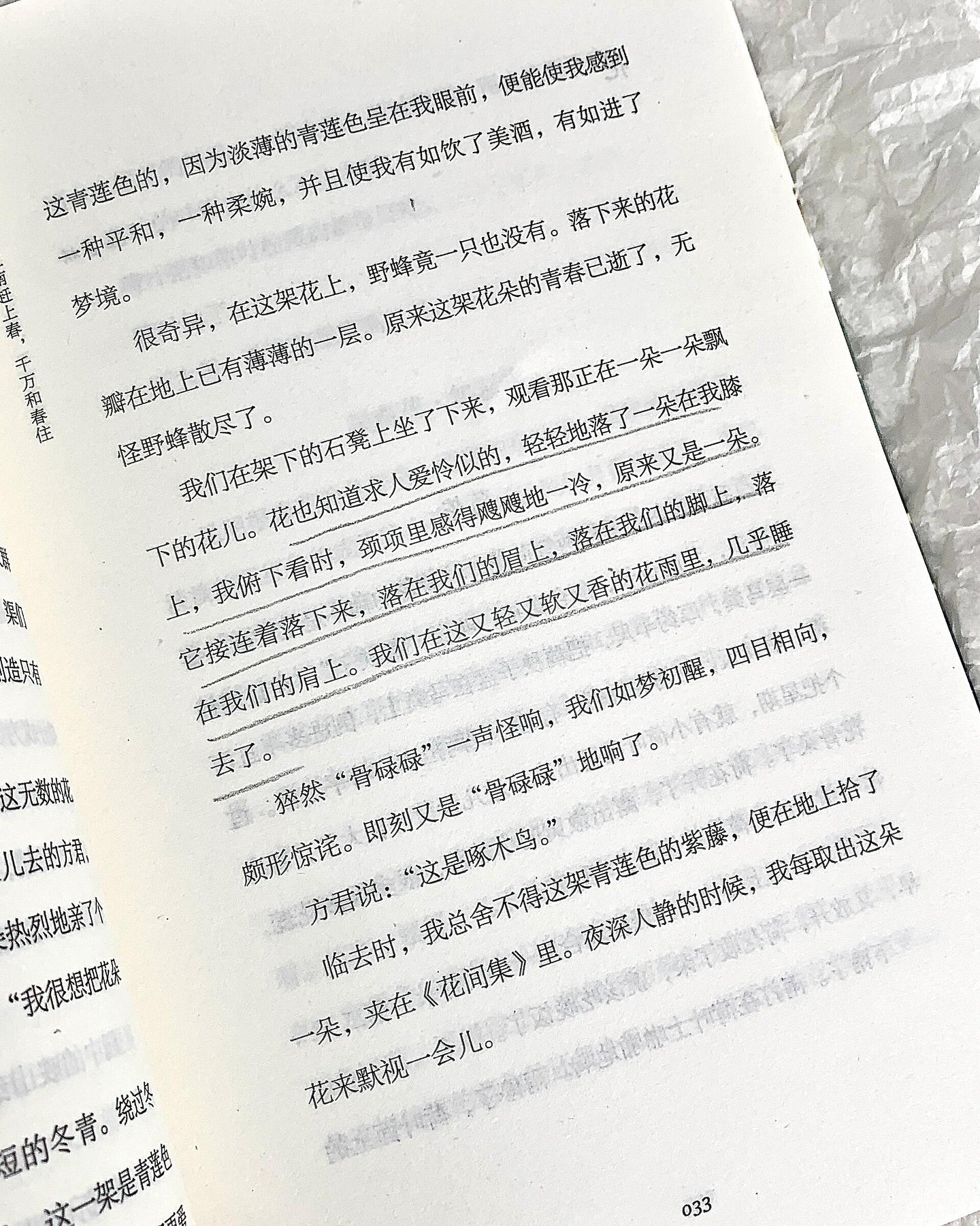 梅子熟时栀子香