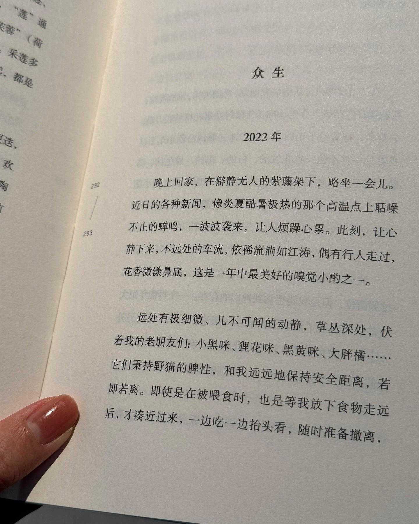 茫然尘世的珍宝