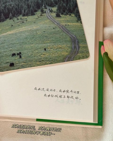 人生是旷野 哪里都是方向