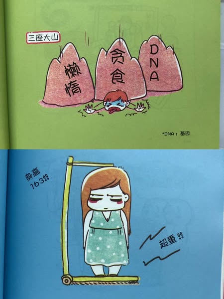 减肥侠