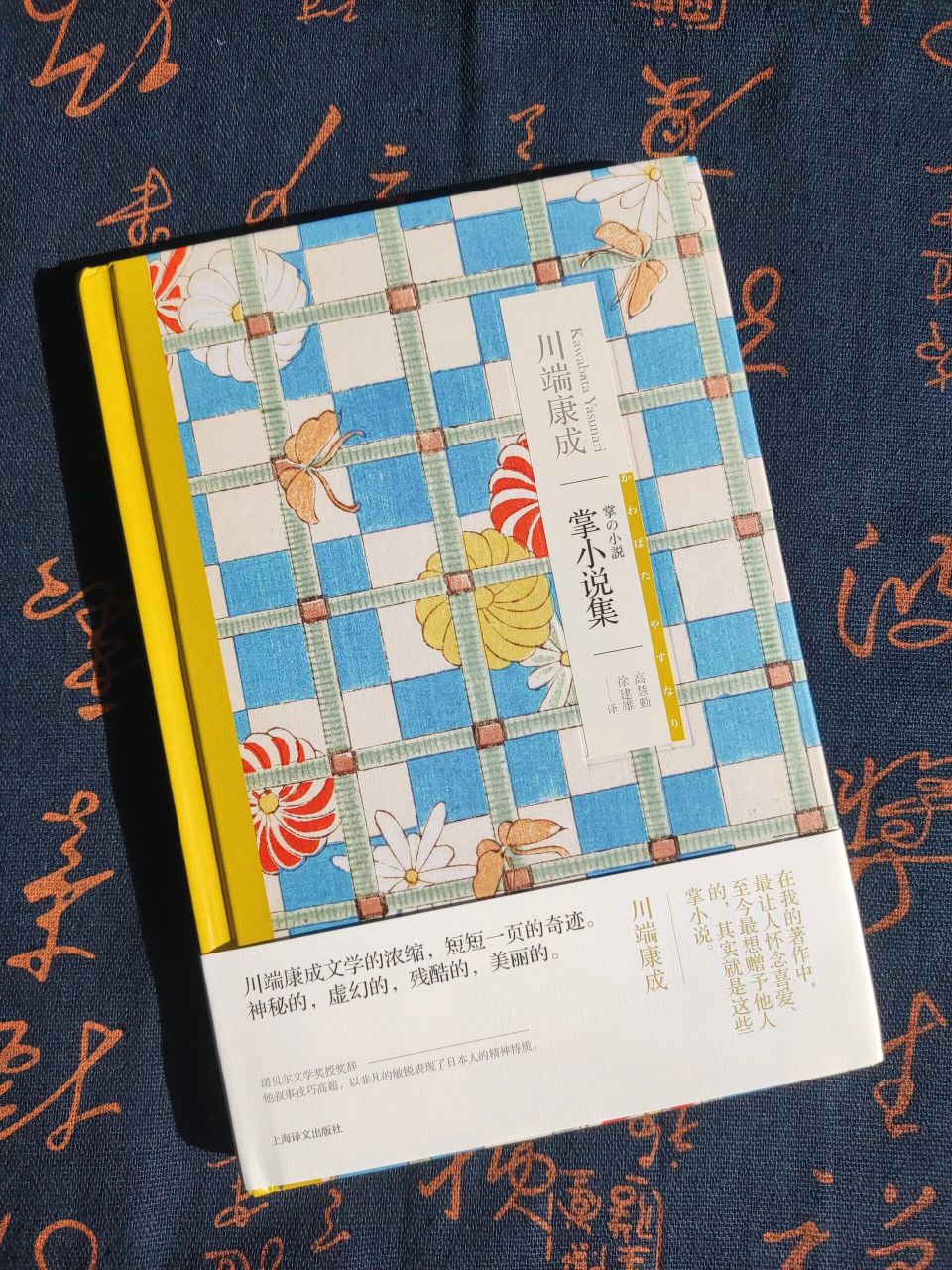 掌小说集