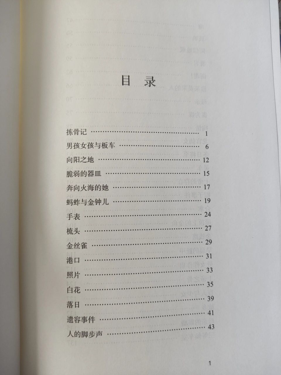 掌小说集