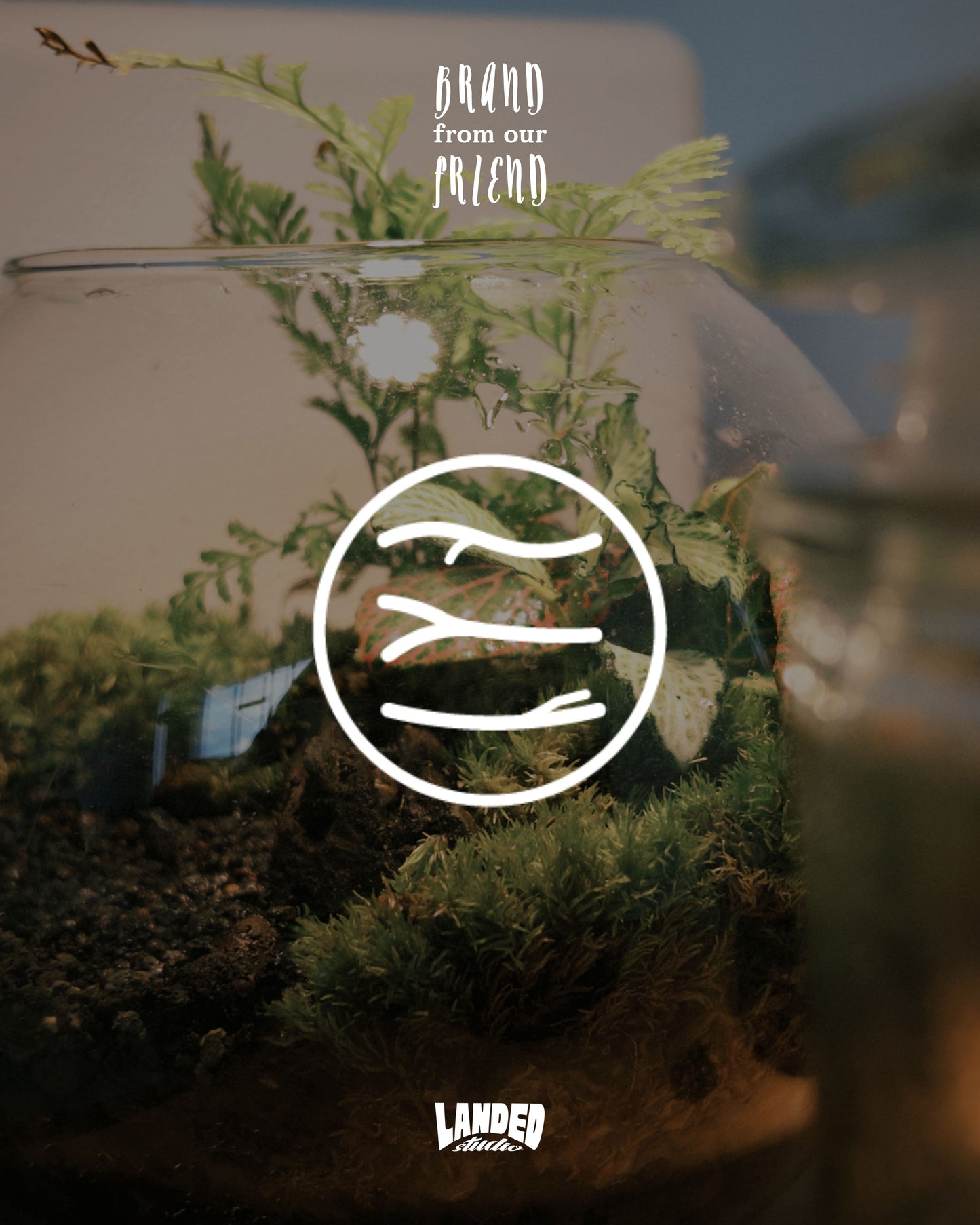 Landed Forest 品牌微景观