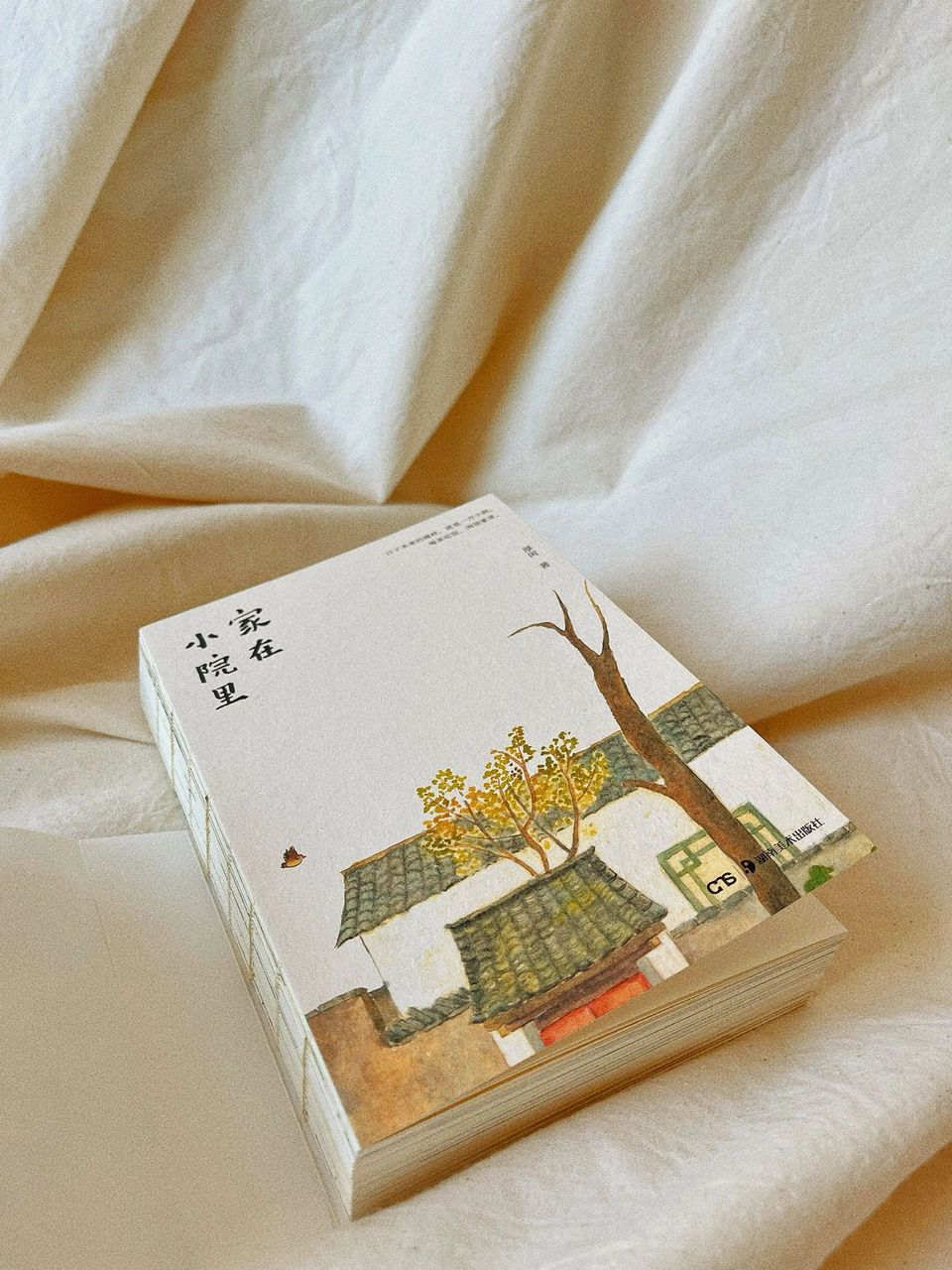 家在小院里