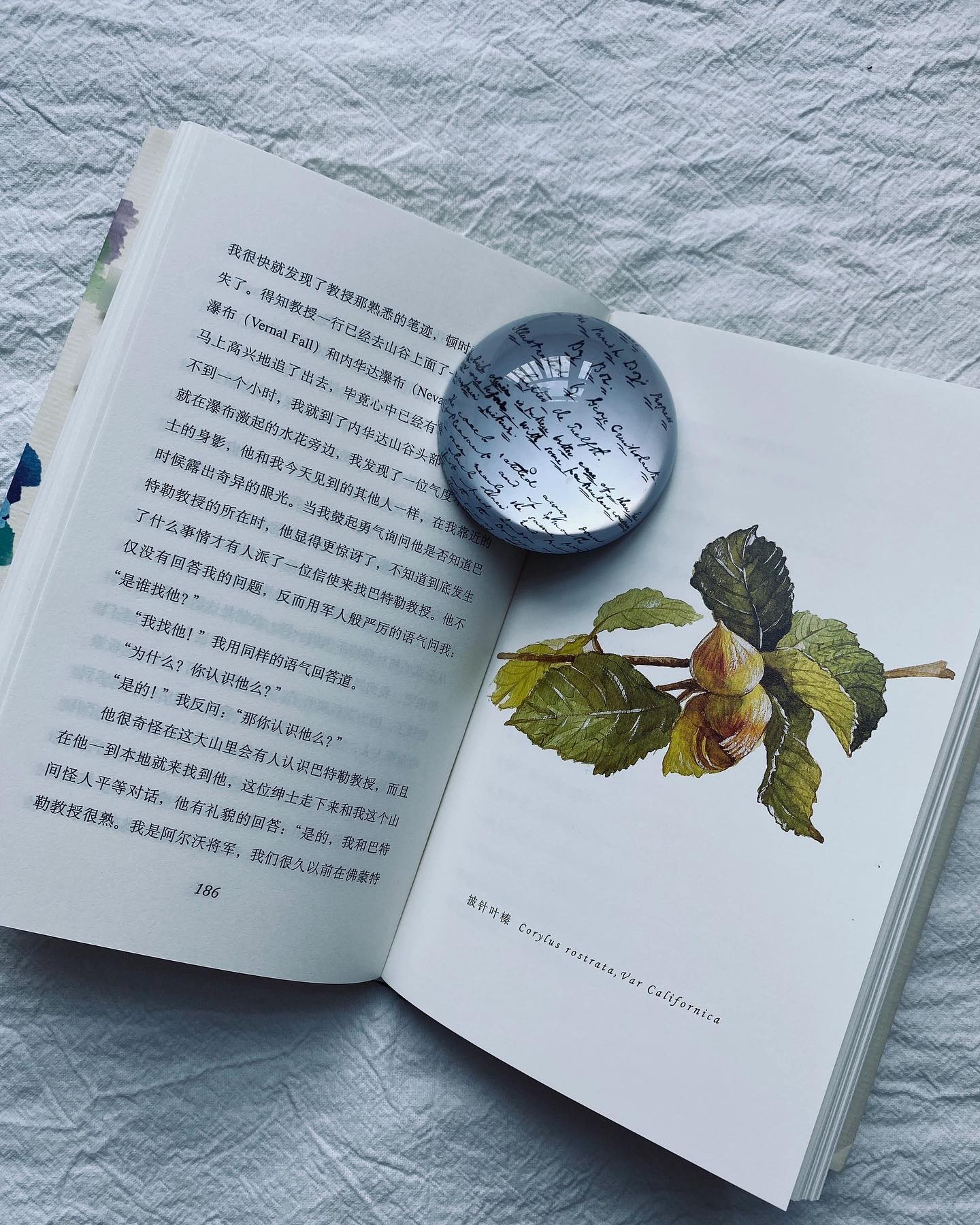 夏日走过山间