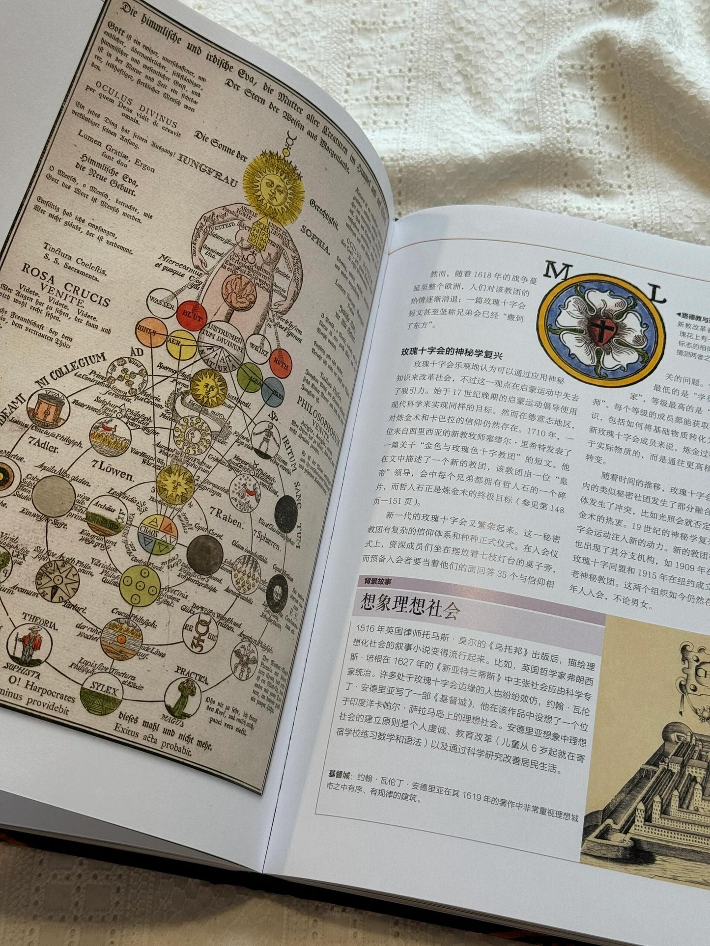 DK魔法百科
