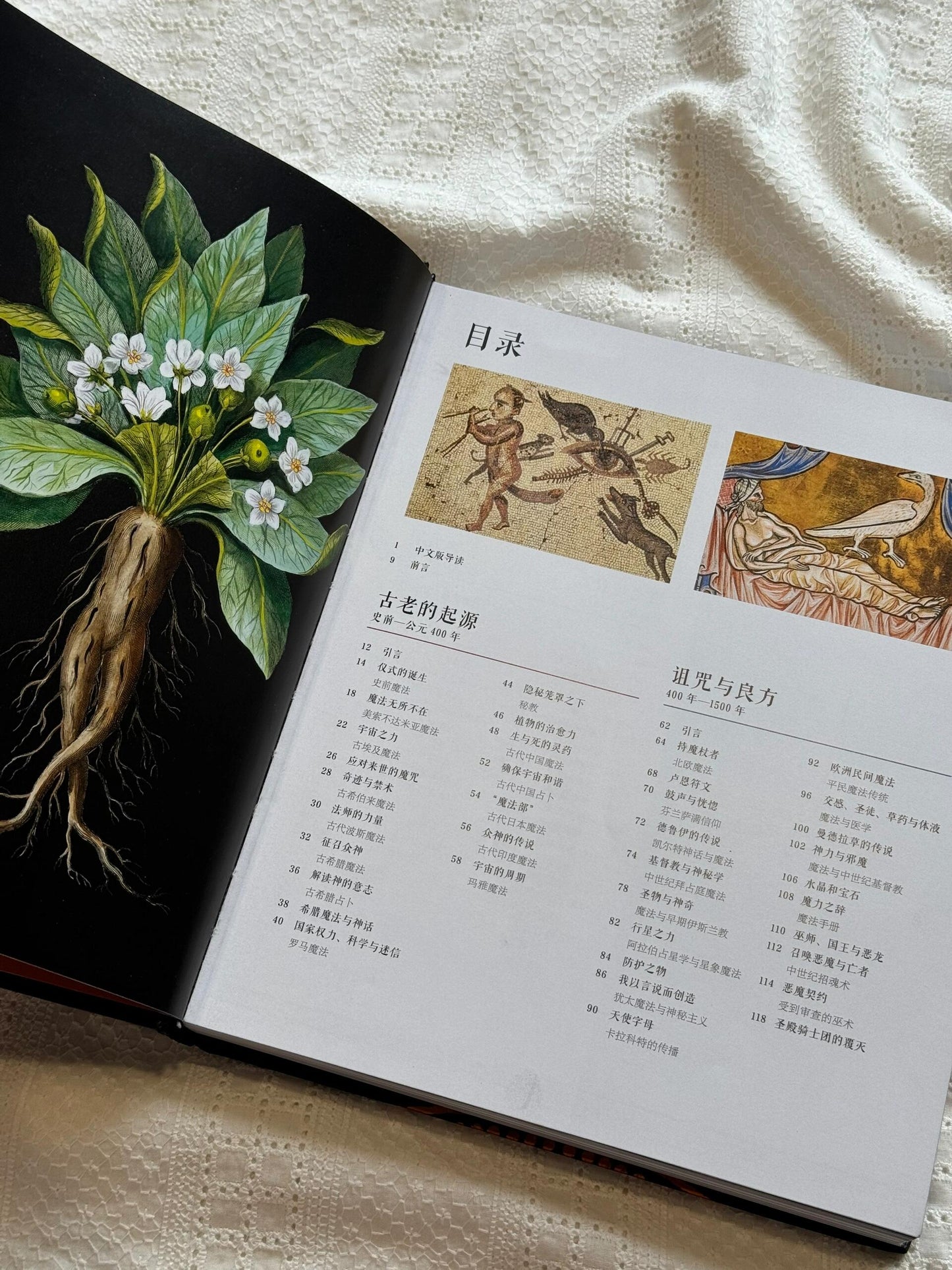 DK魔法百科