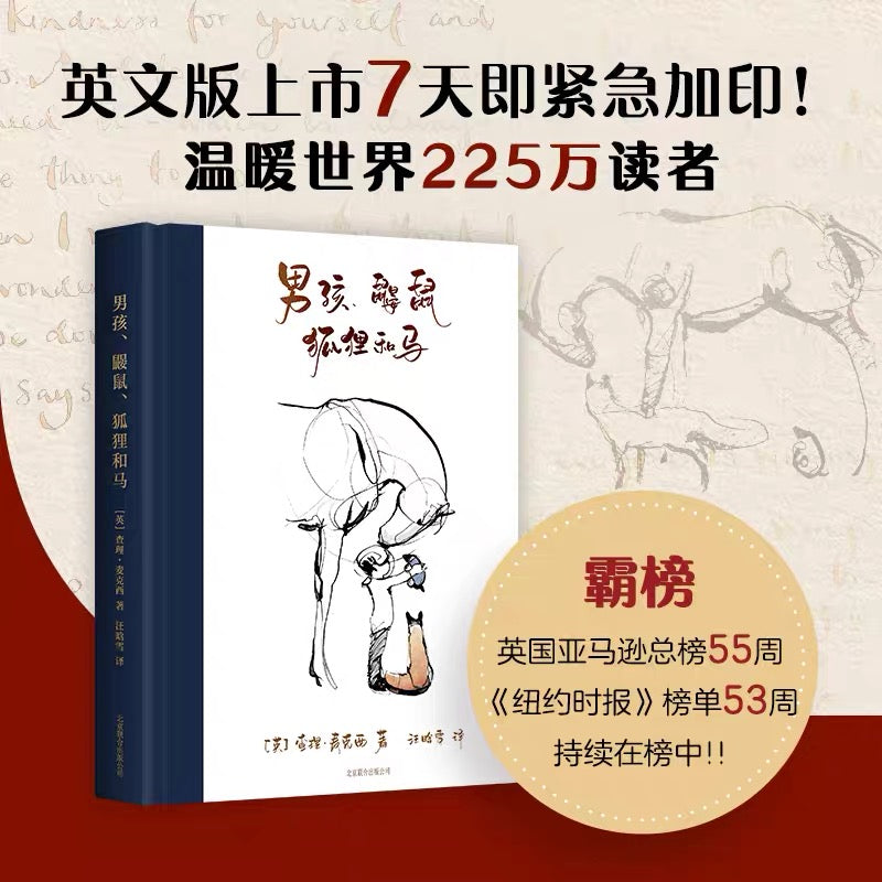 男孩鼹鼠狐狸和马