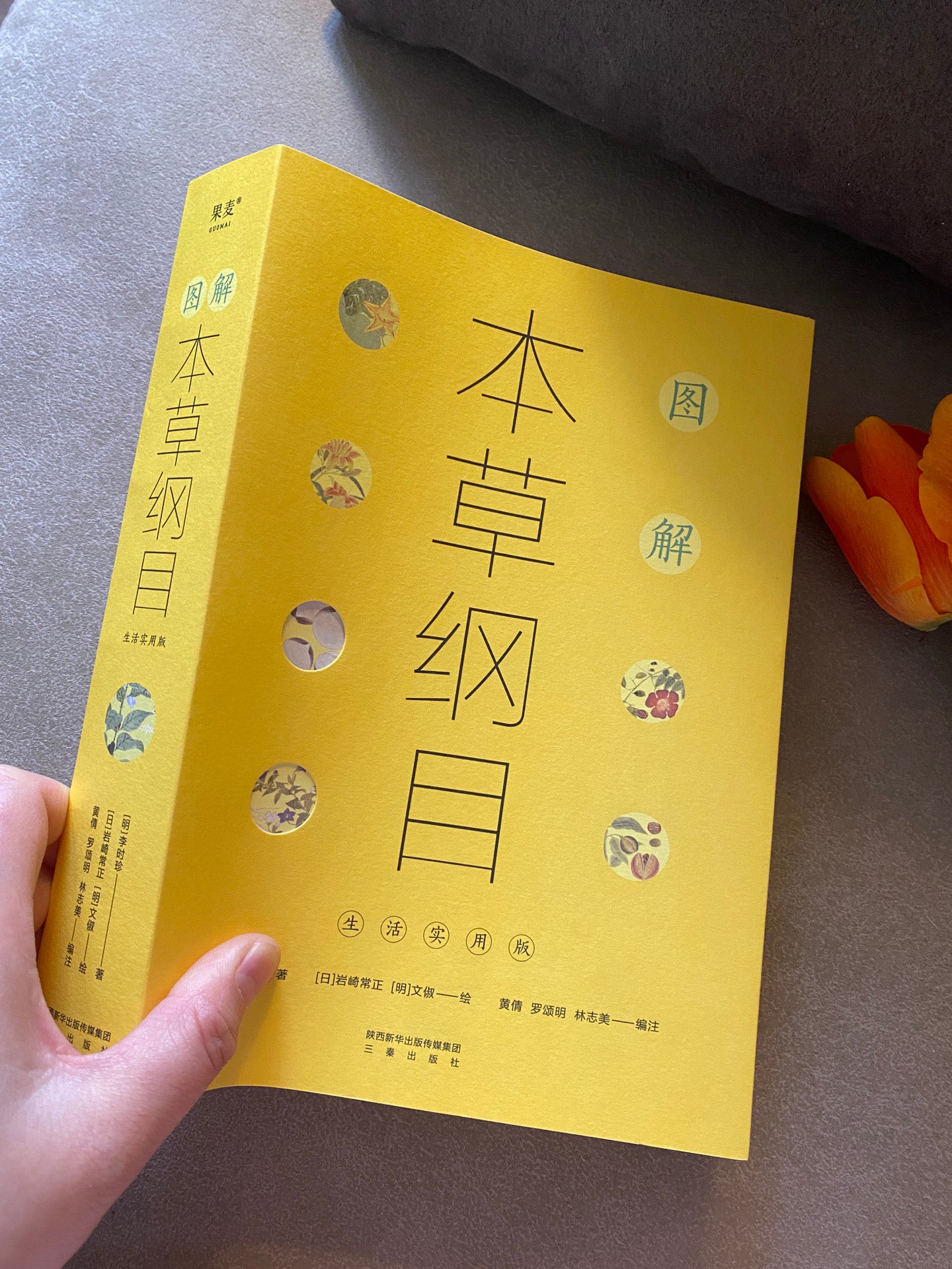 本草纲目