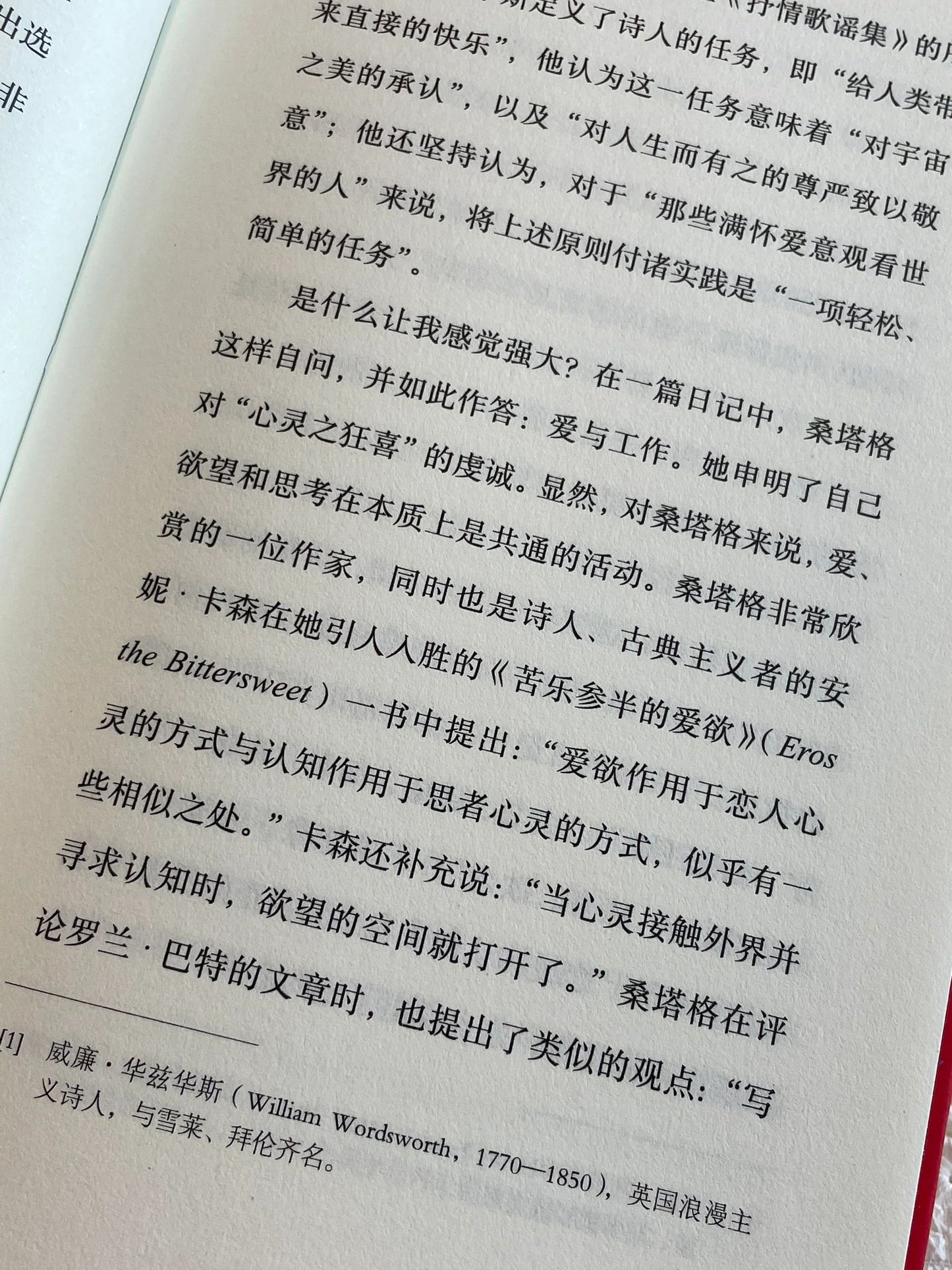苏珊·桑塔格访谈录