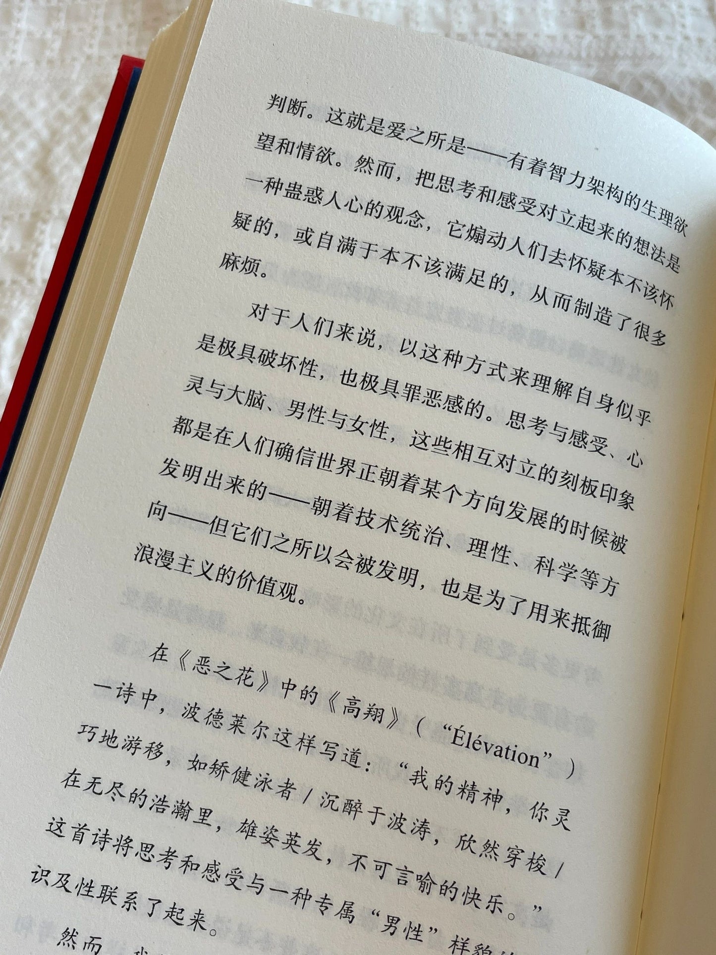 苏珊·桑塔格访谈录