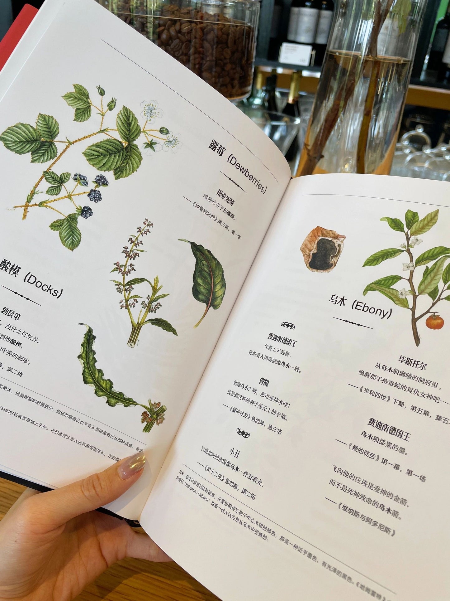 莎士比亚植物诗