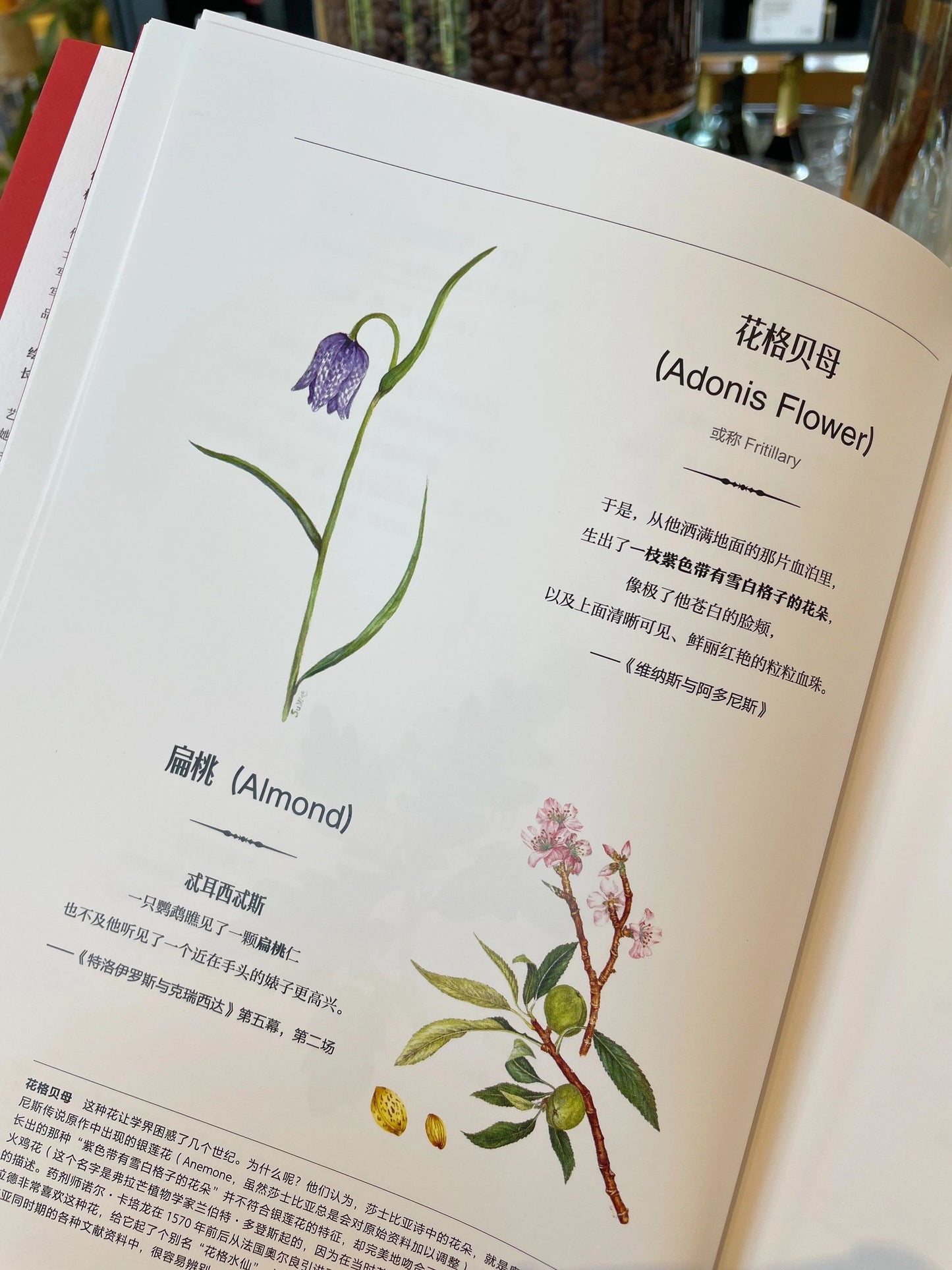 莎士比亚植物诗