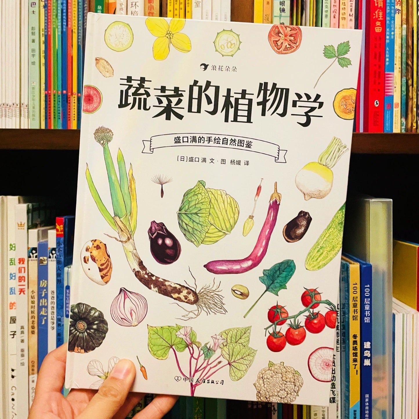 蔬菜的植物学