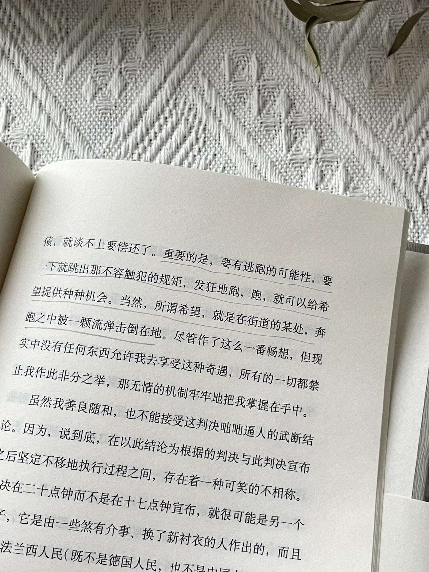 局外人