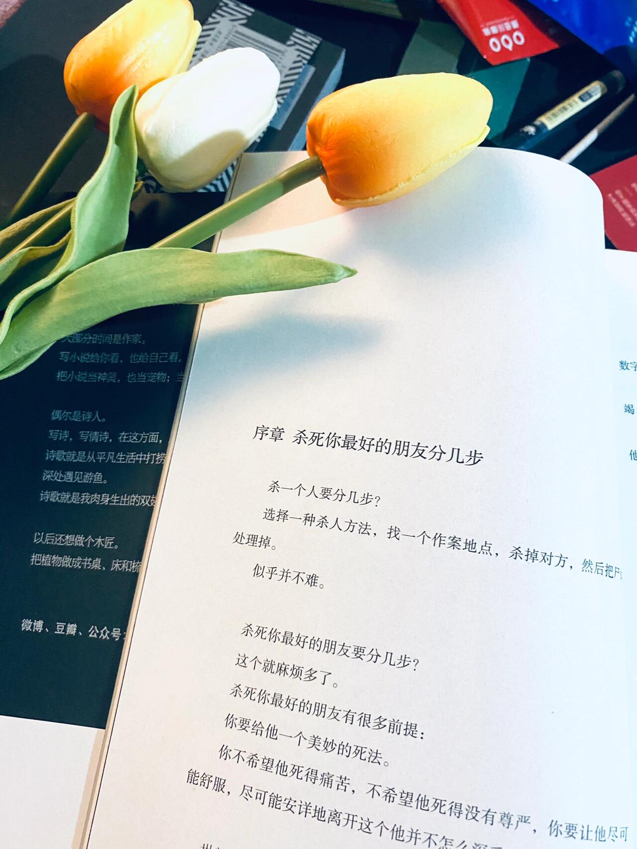 如何杀死我最好的朋友