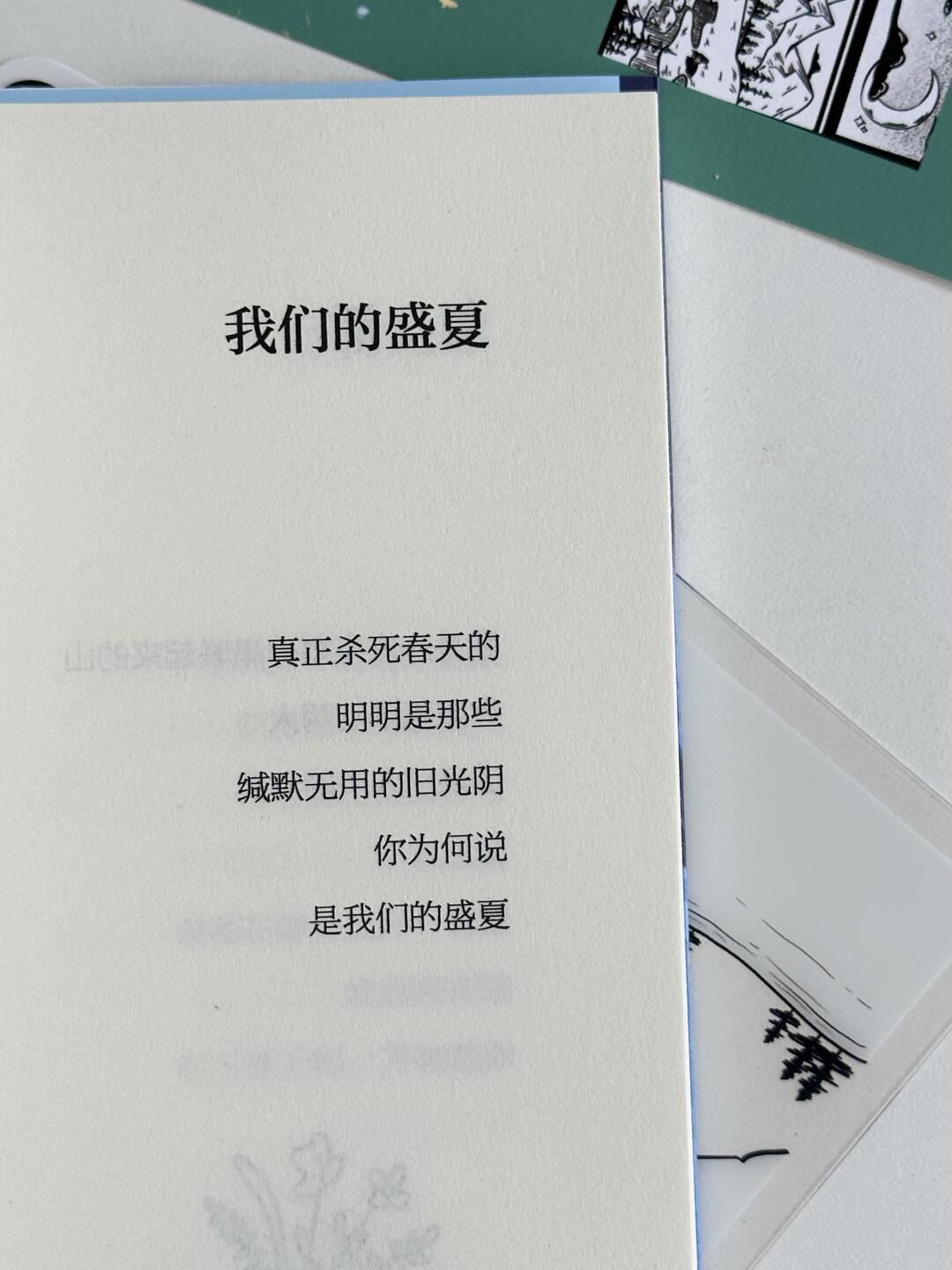 我偏爱这人间荒芜