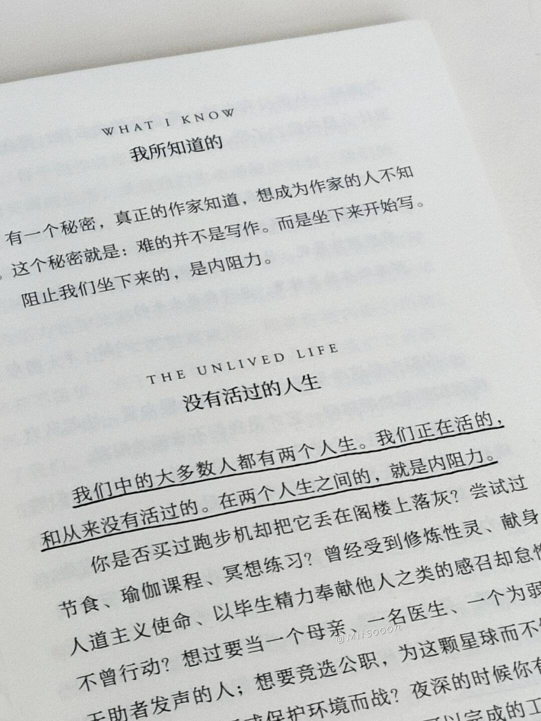 一生之敌