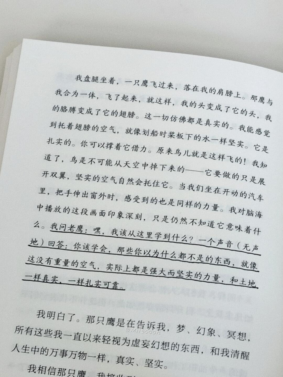 一生之敌