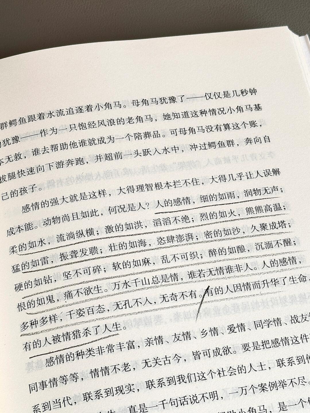 初心