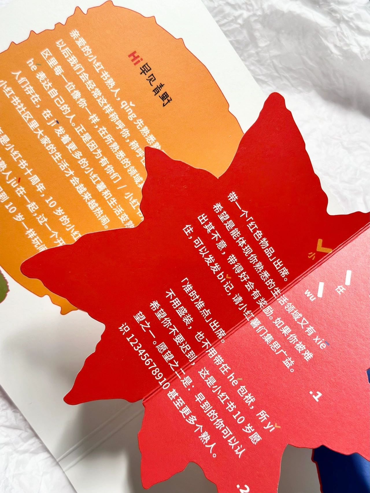 我有一只叫快乐的行李箱