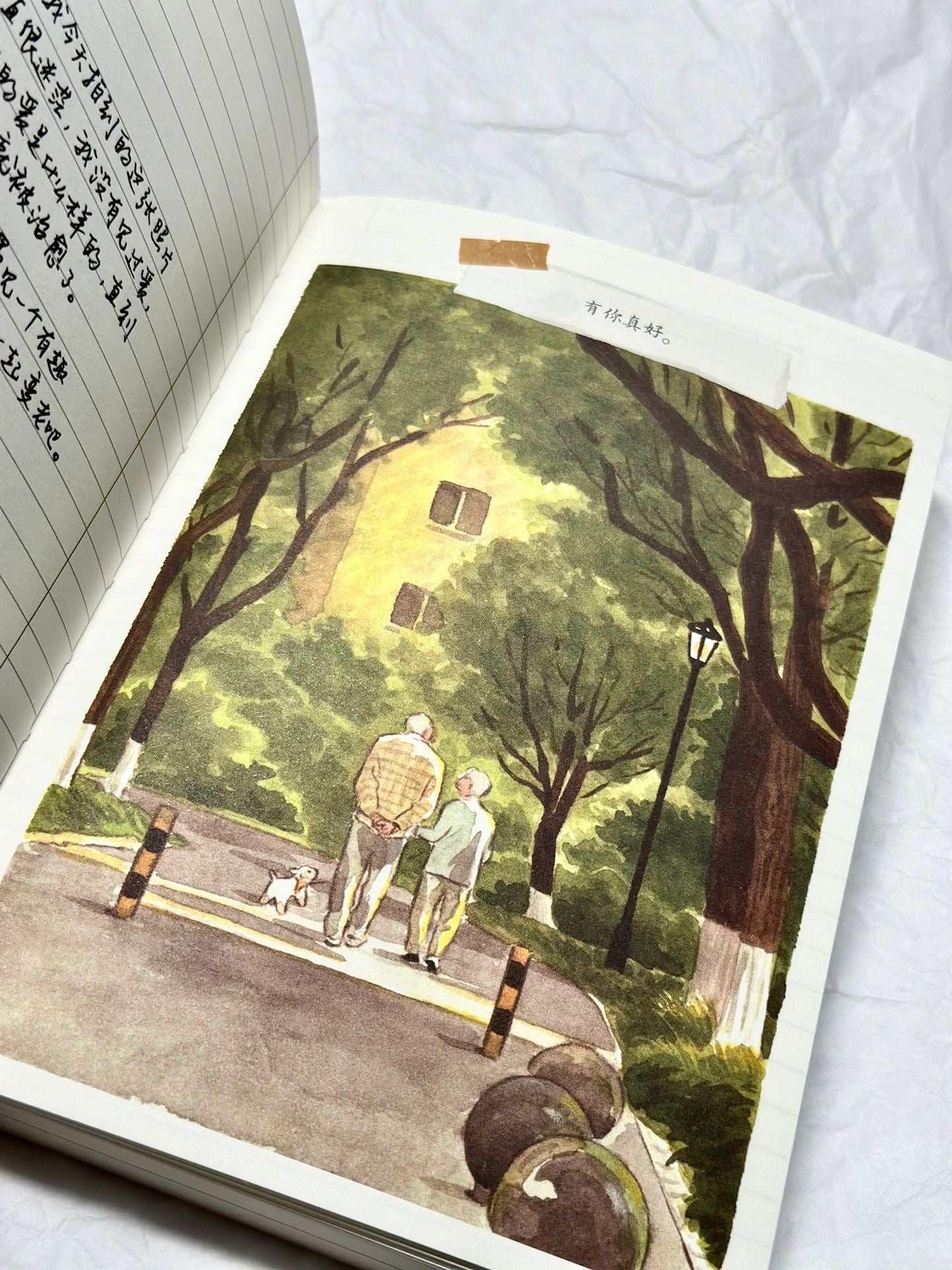 请画一下爱 2
