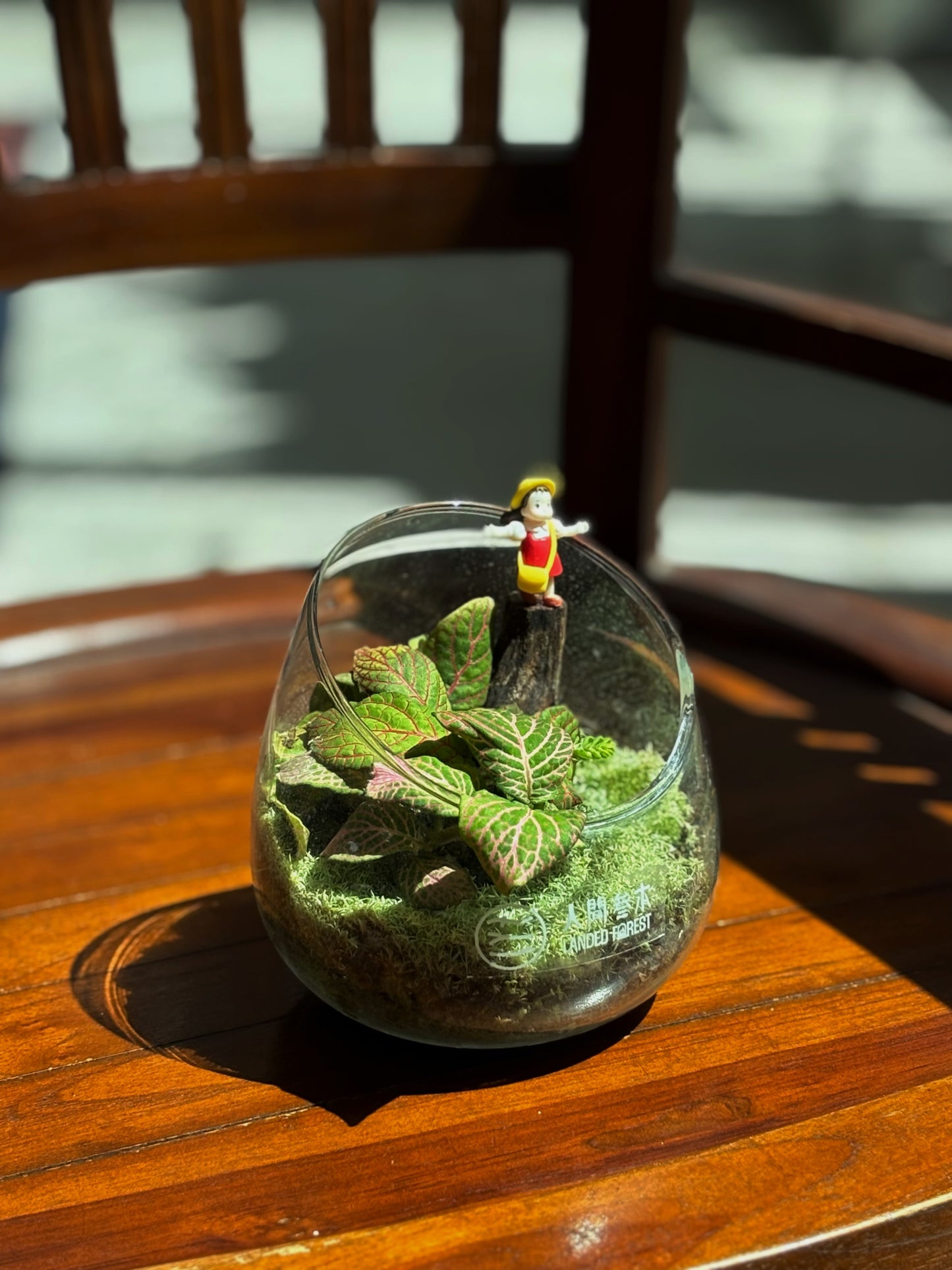 Landed Forest 品牌微景观