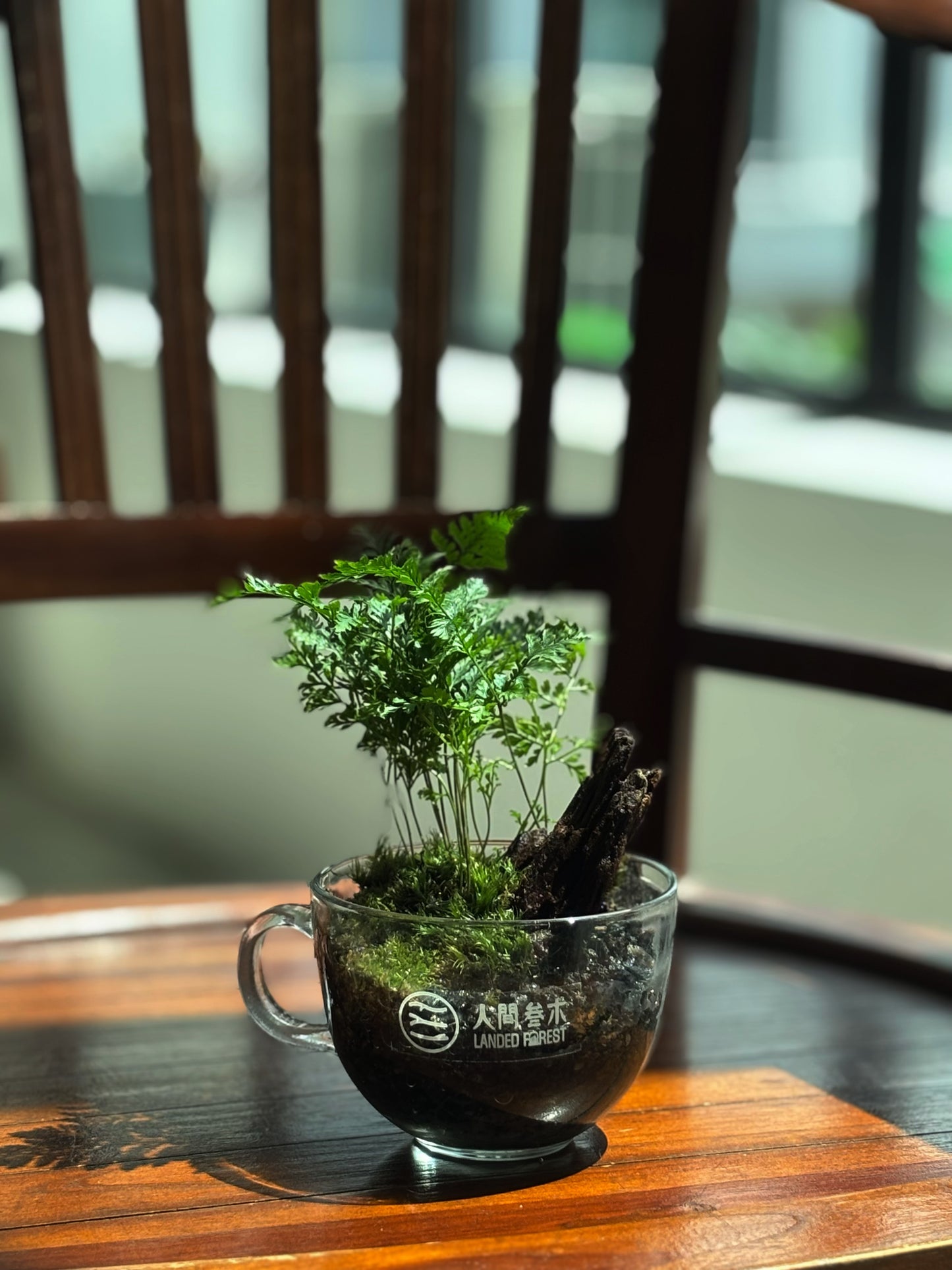 Landed Forest 品牌微景观