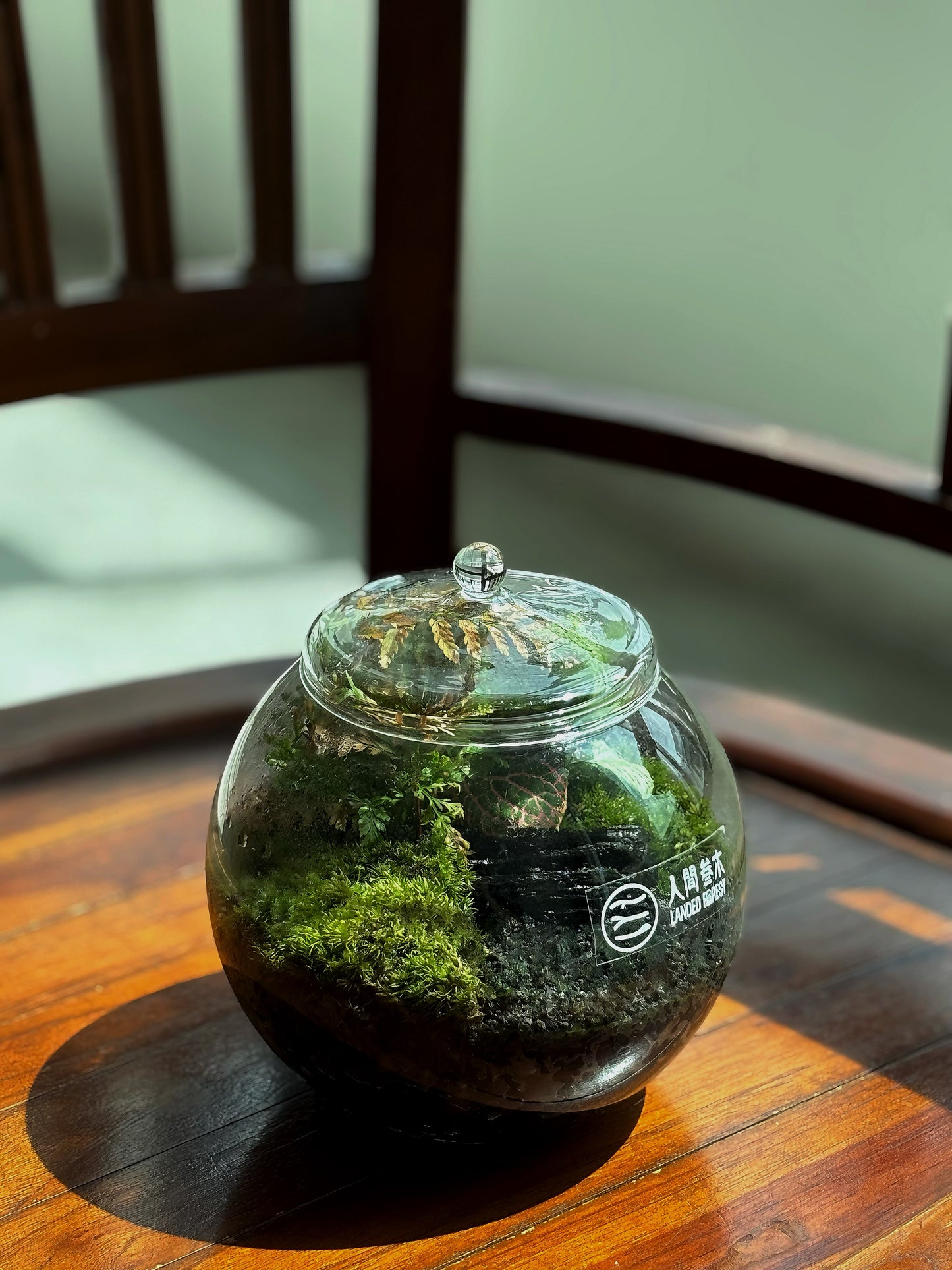 Landed Forest 品牌微景观
