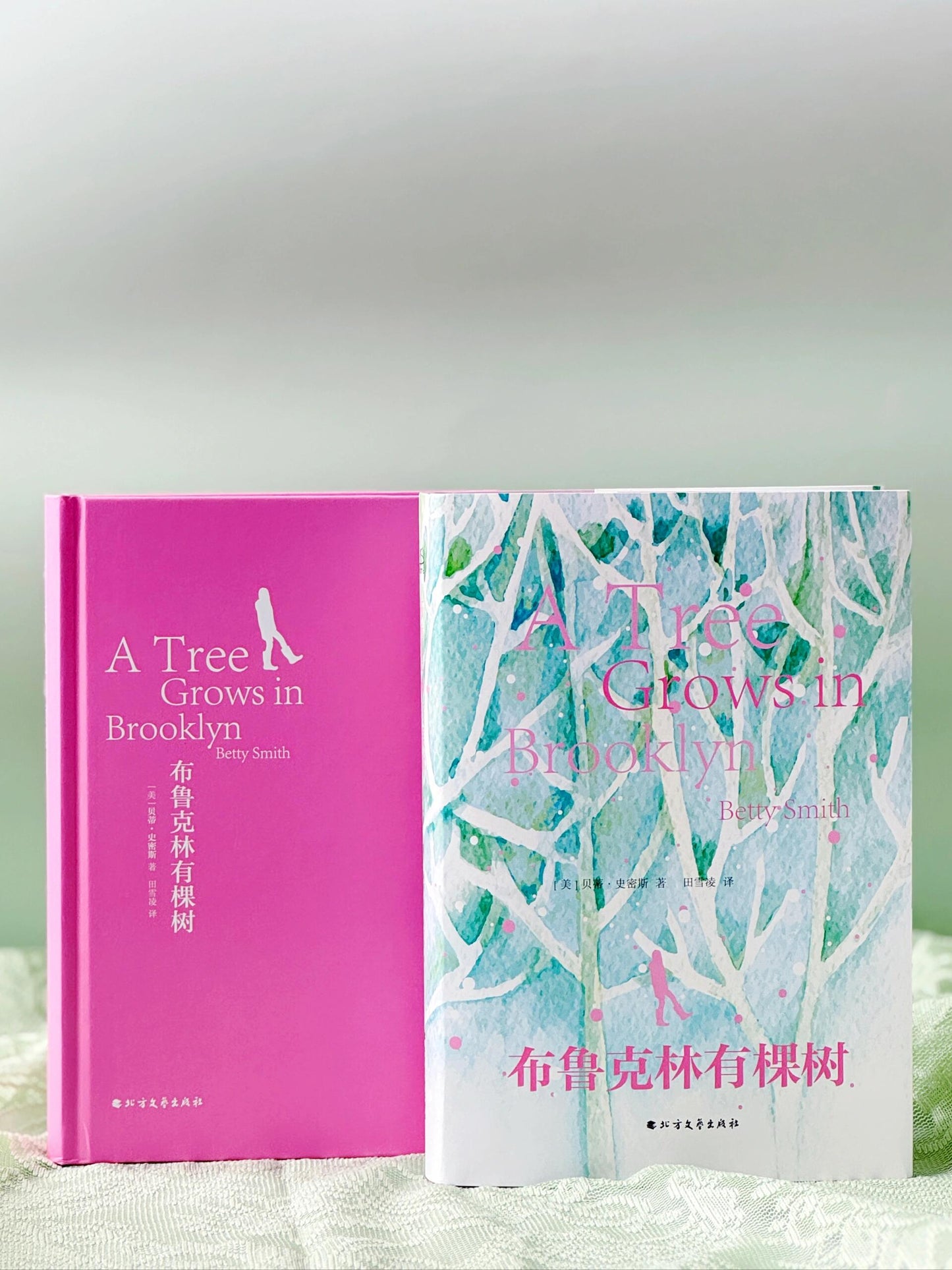 布鲁克林有棵树 特别版