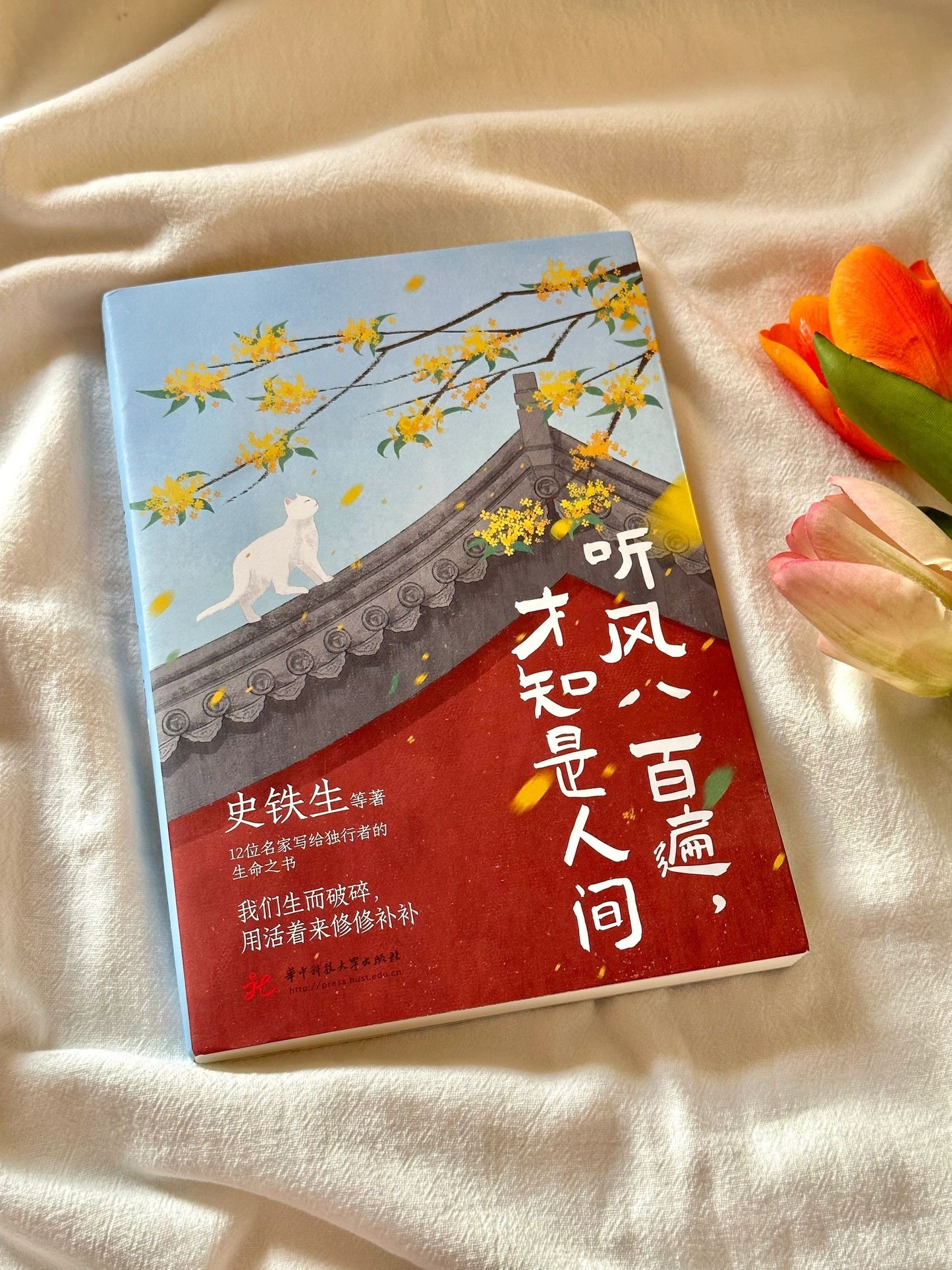 听风八百遍,才知是人间