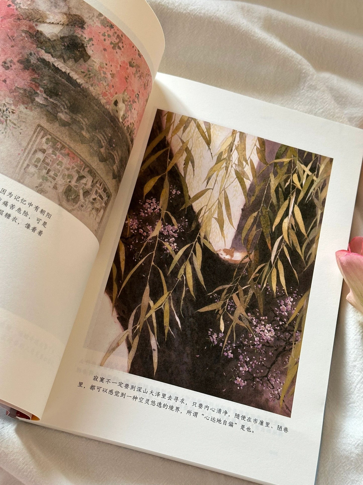 听风八百遍,才知是人间