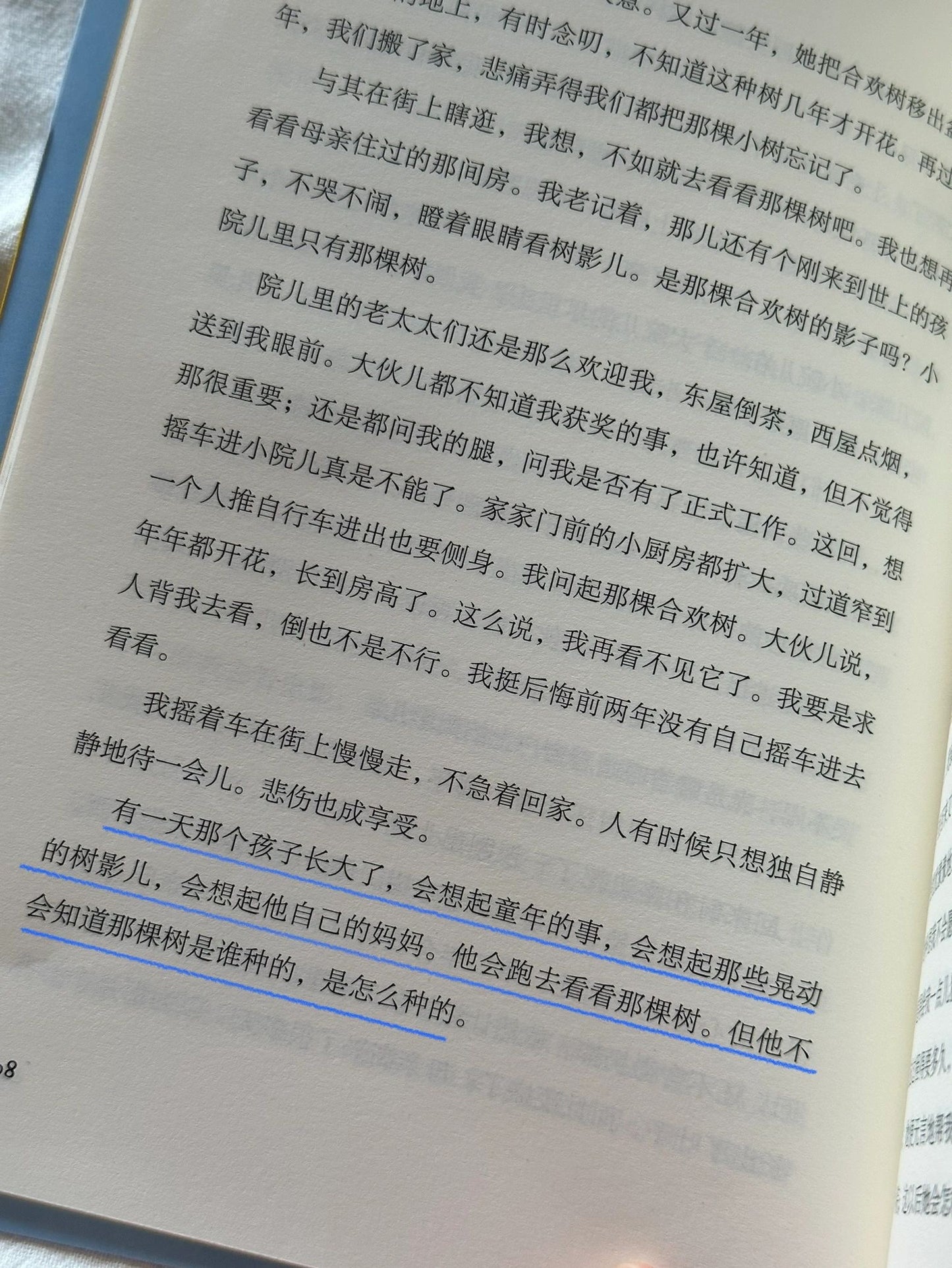 听风八百遍,才知是人间