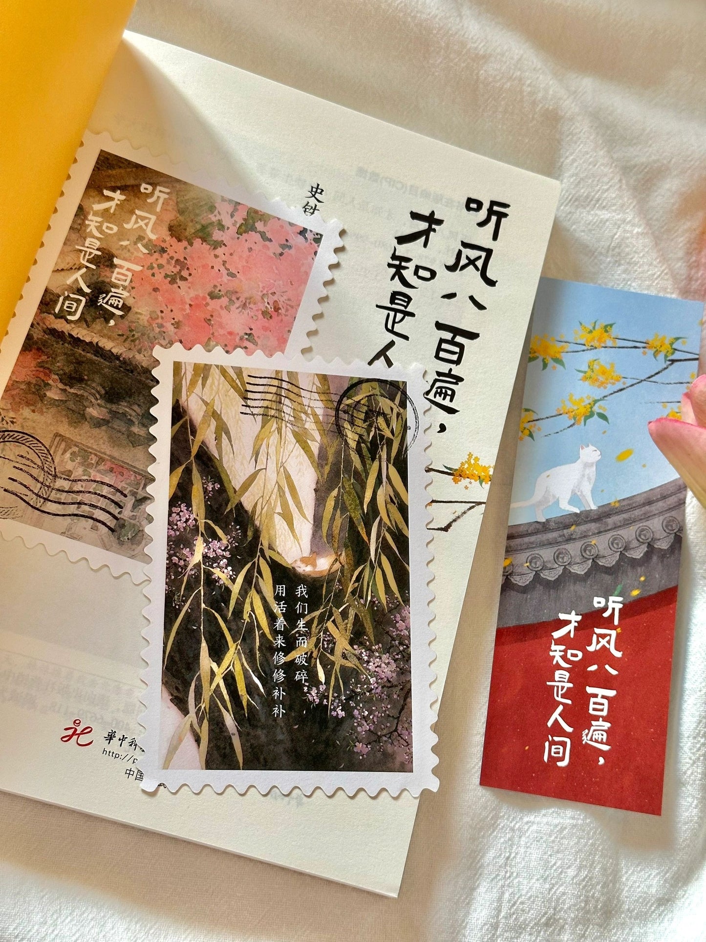 听风八百遍,才知是人间