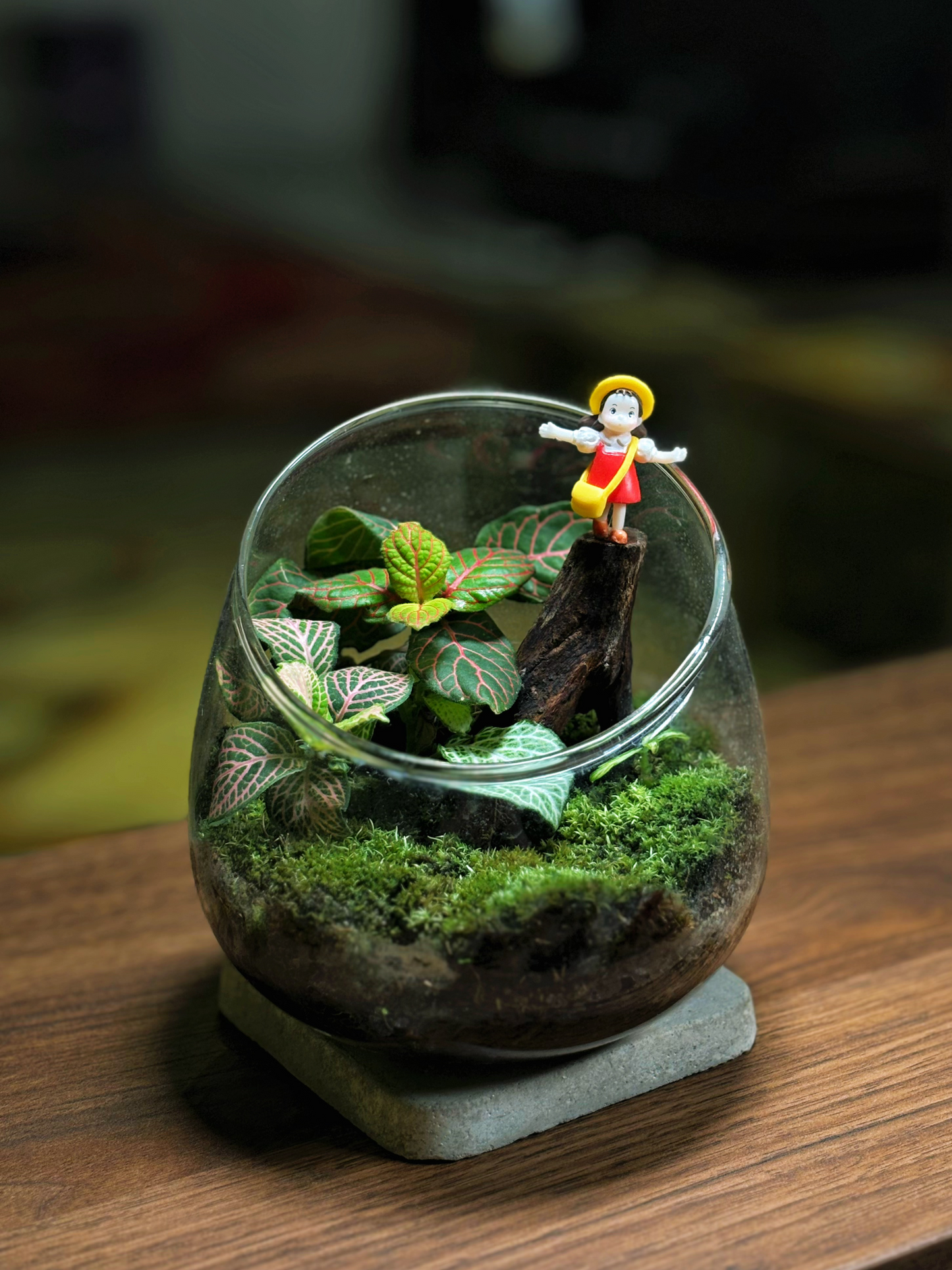 Landed Forest 品牌微景观