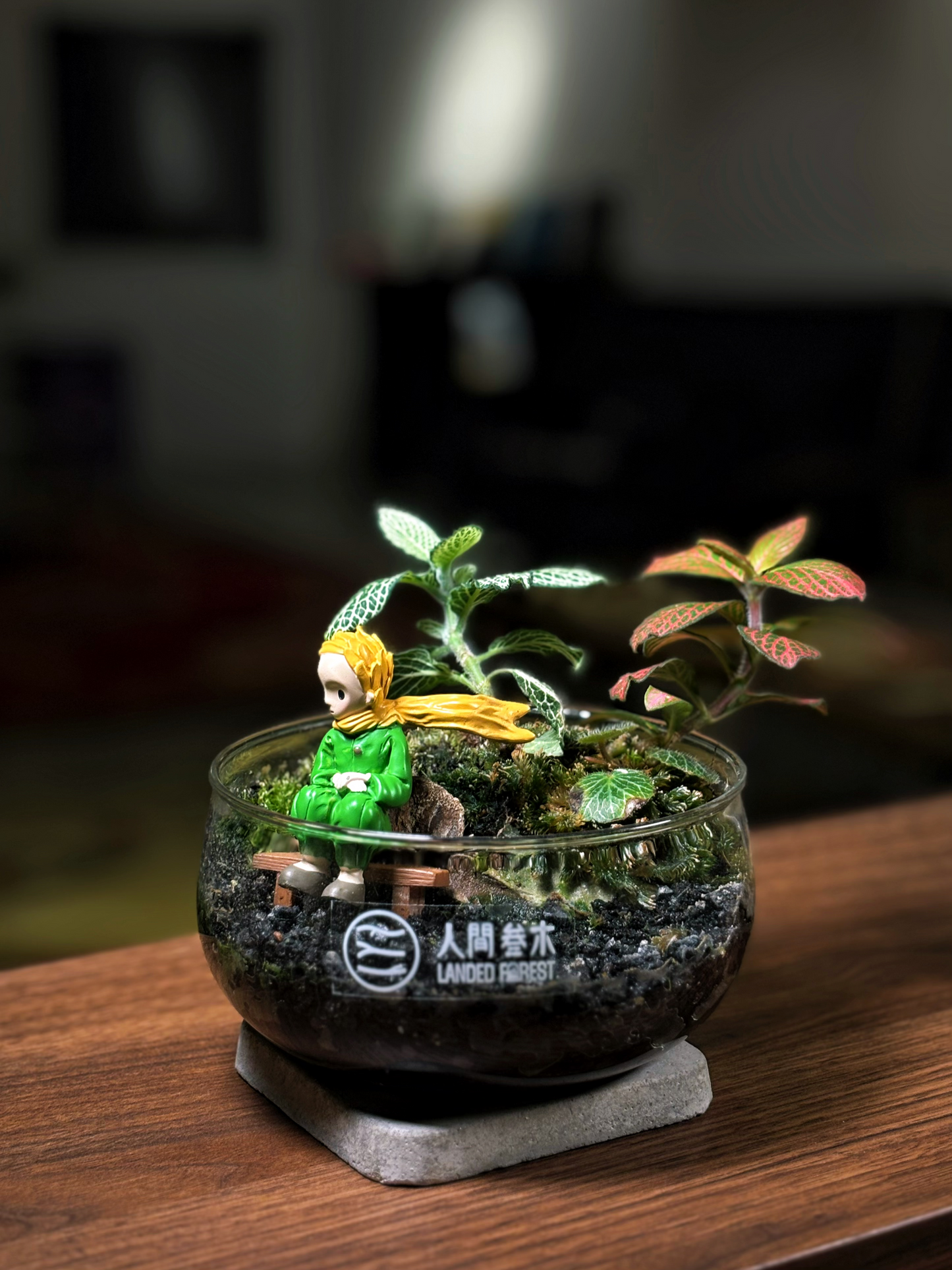 Landed Forest 品牌微景观