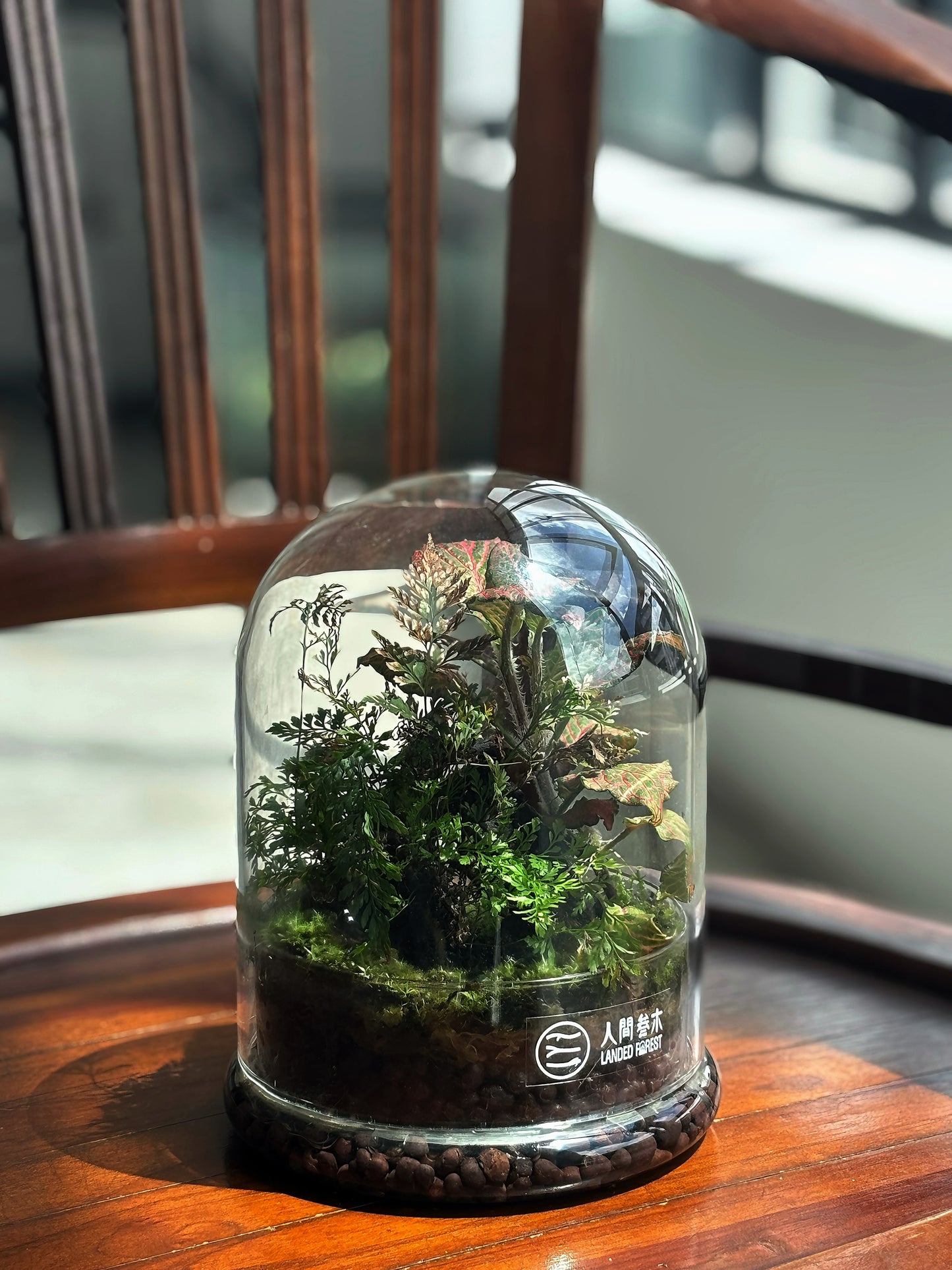 Landed Forest 品牌微景观