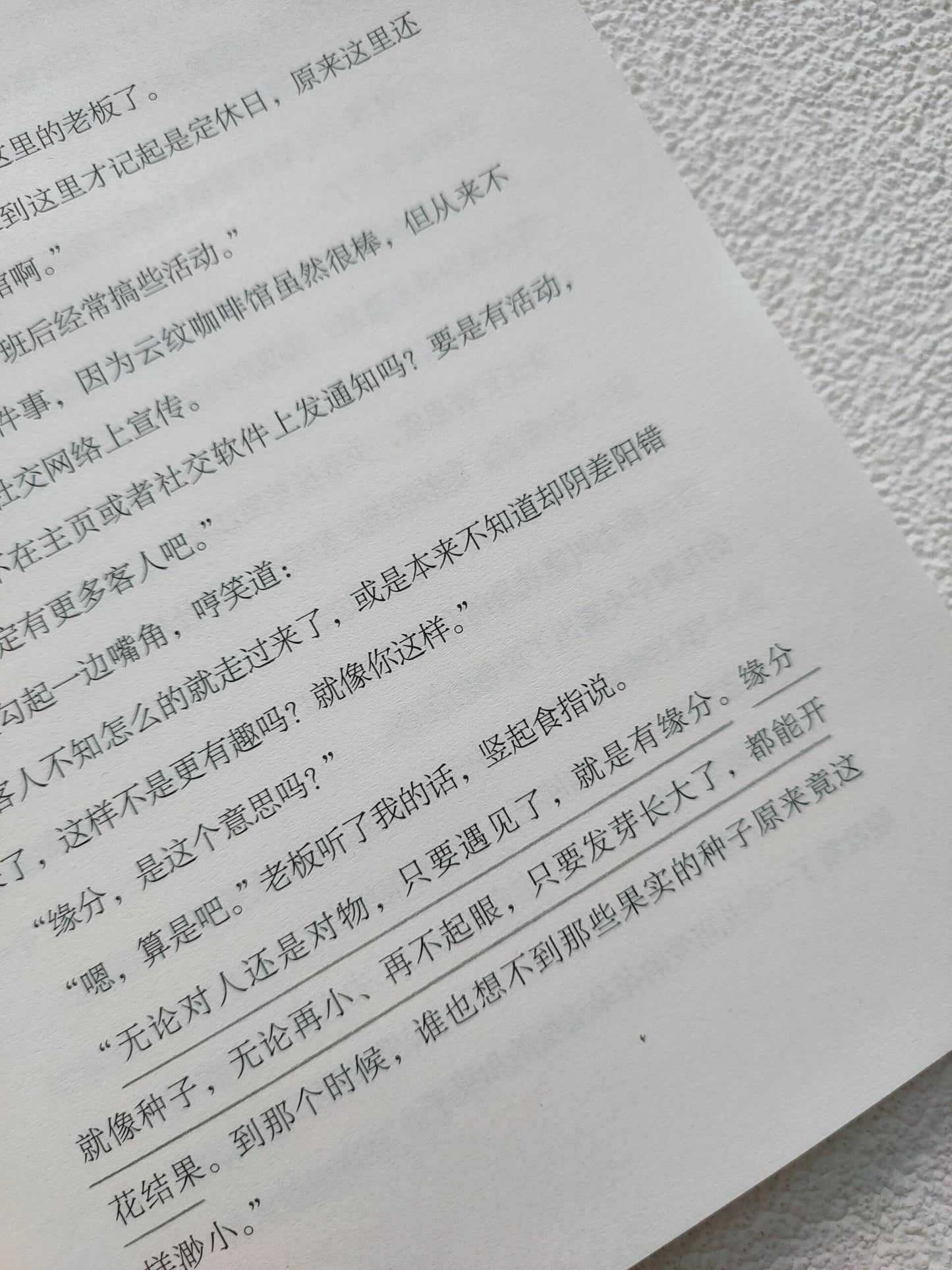 星期一,喝抹茶