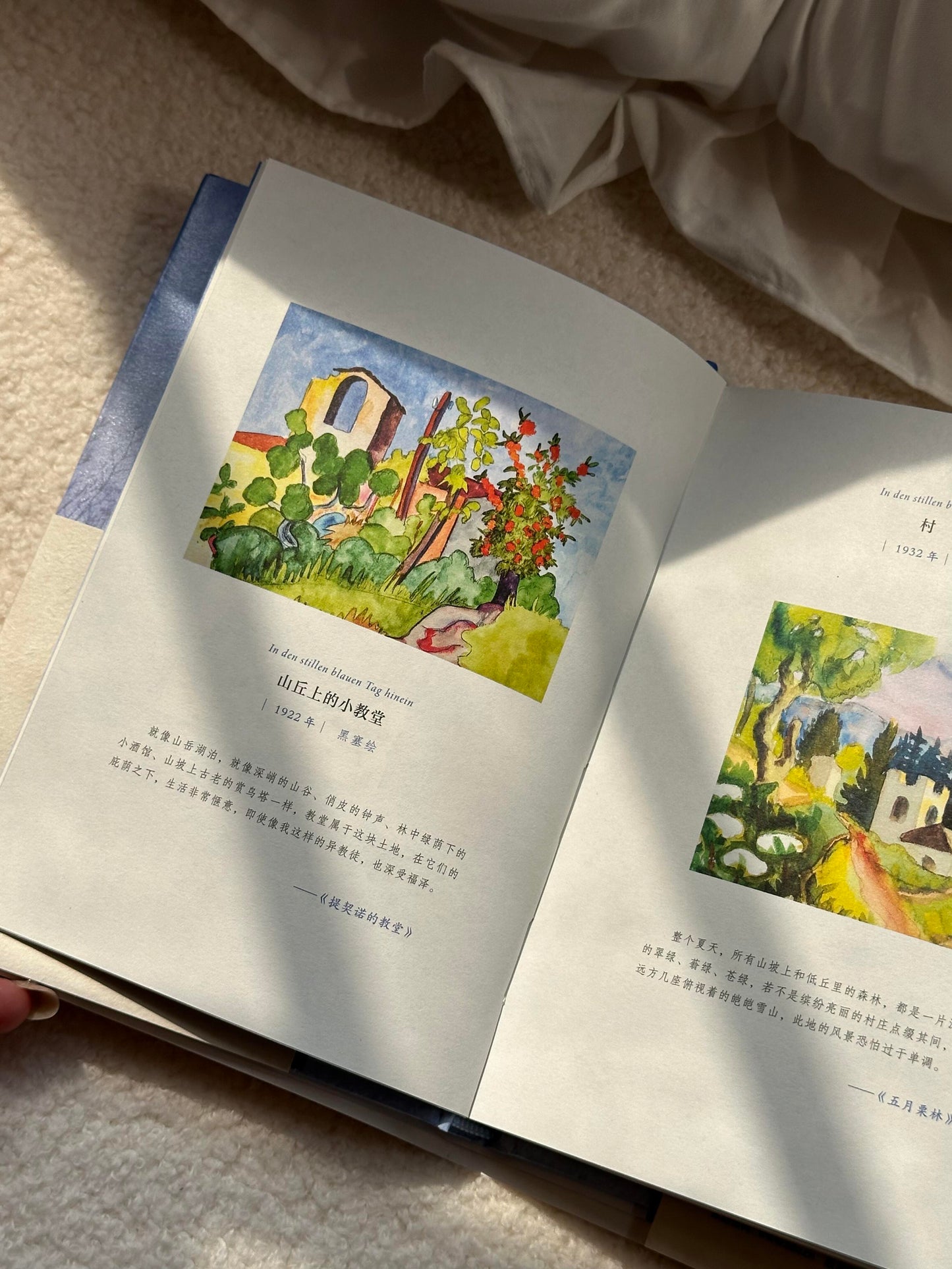 我走入宁静蔚蓝的日子