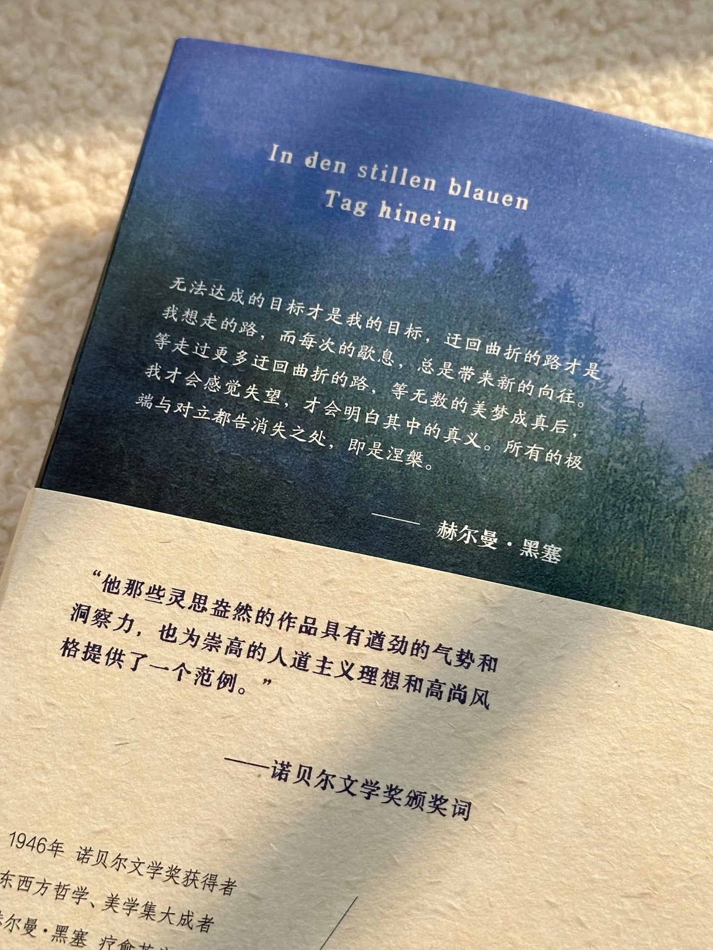 我走入宁静蔚蓝的日子