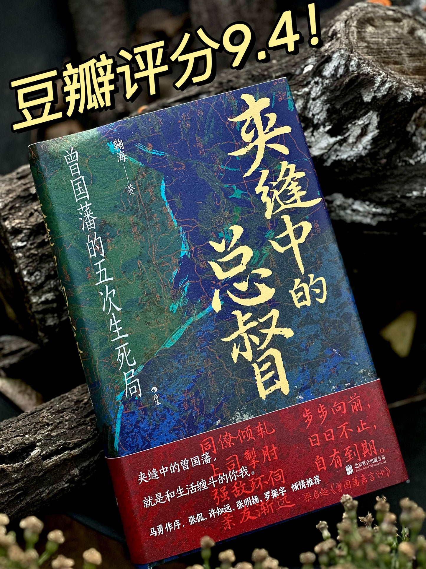 夹缝中的总督