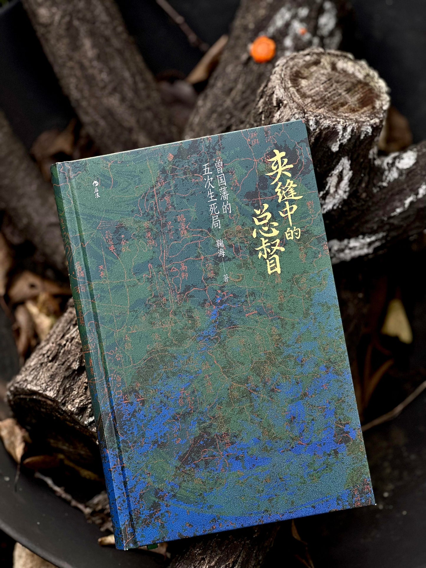 夹缝中的总督